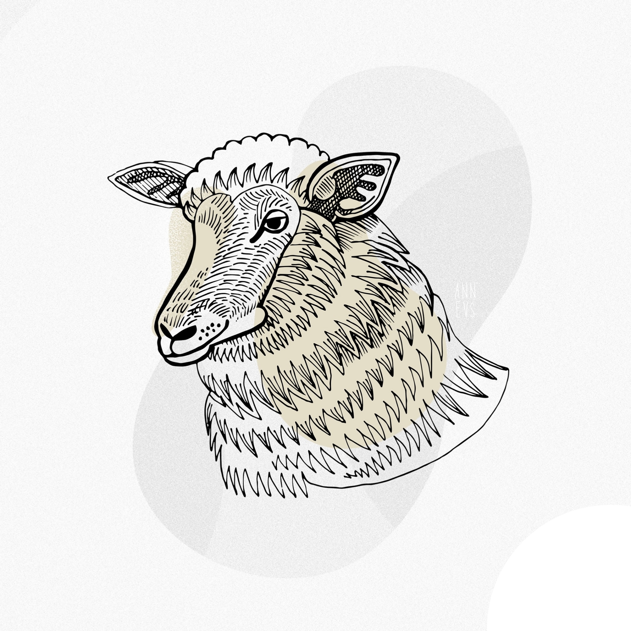 Ingarving sheep