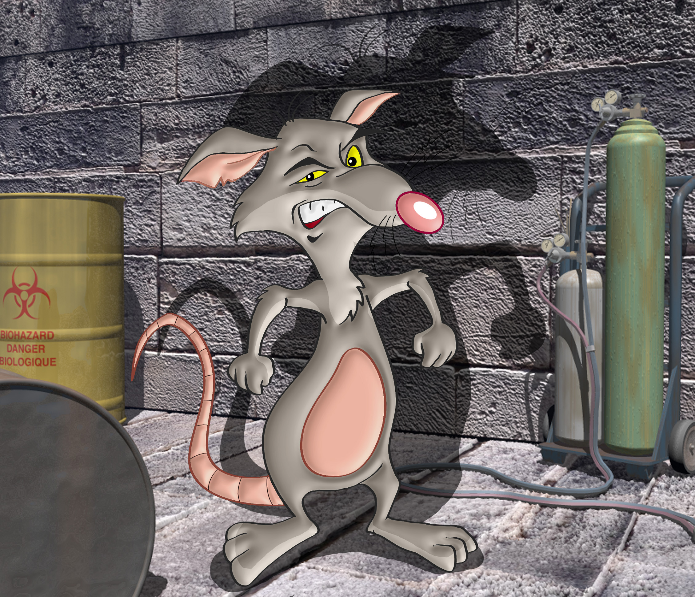 06