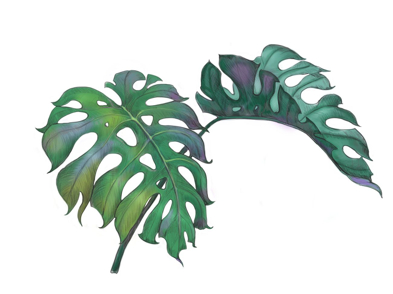 Flowers 3 %d0%b0