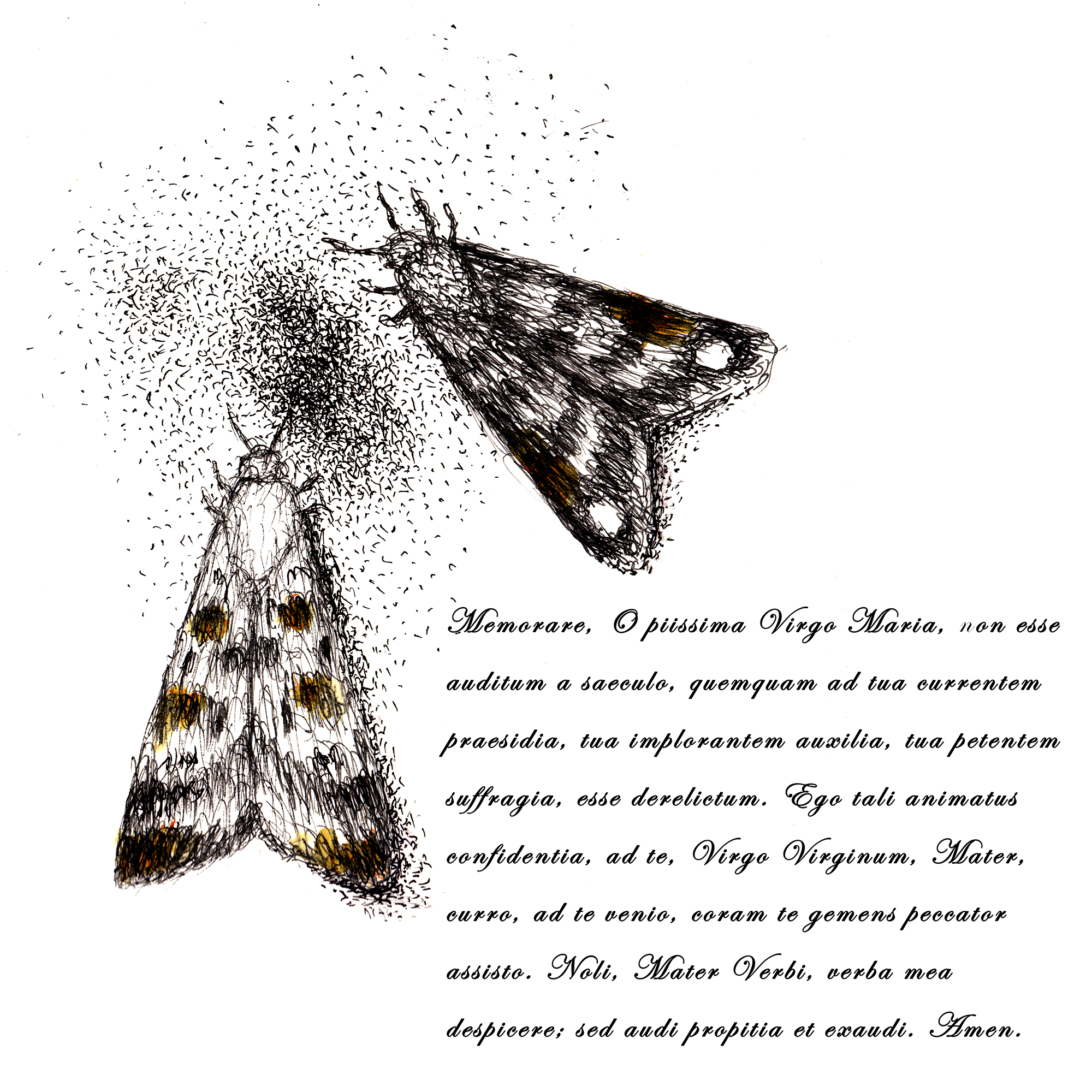 Memorare