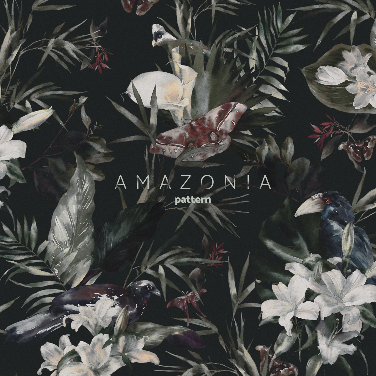 Amazonia cover