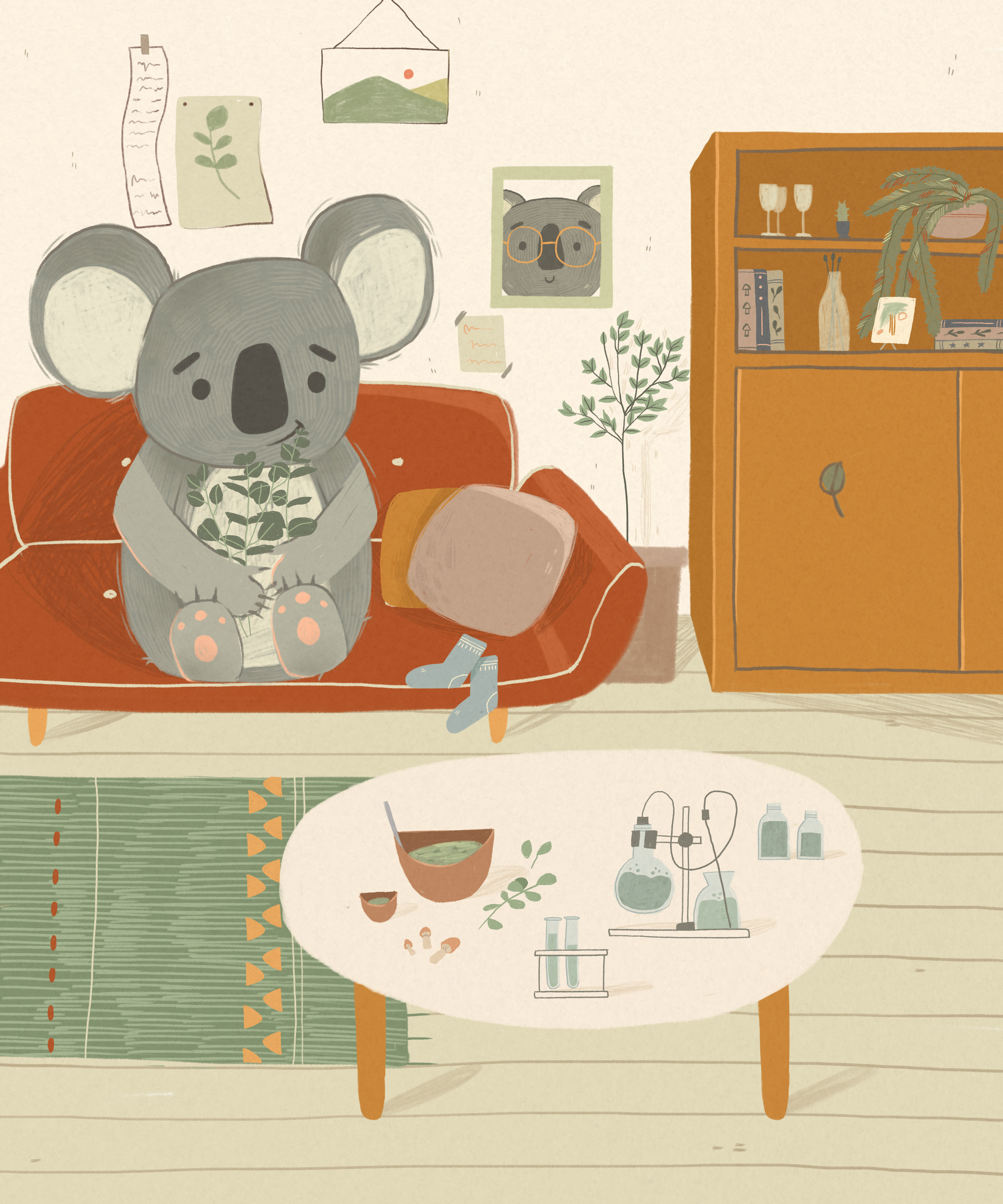 Koala 1