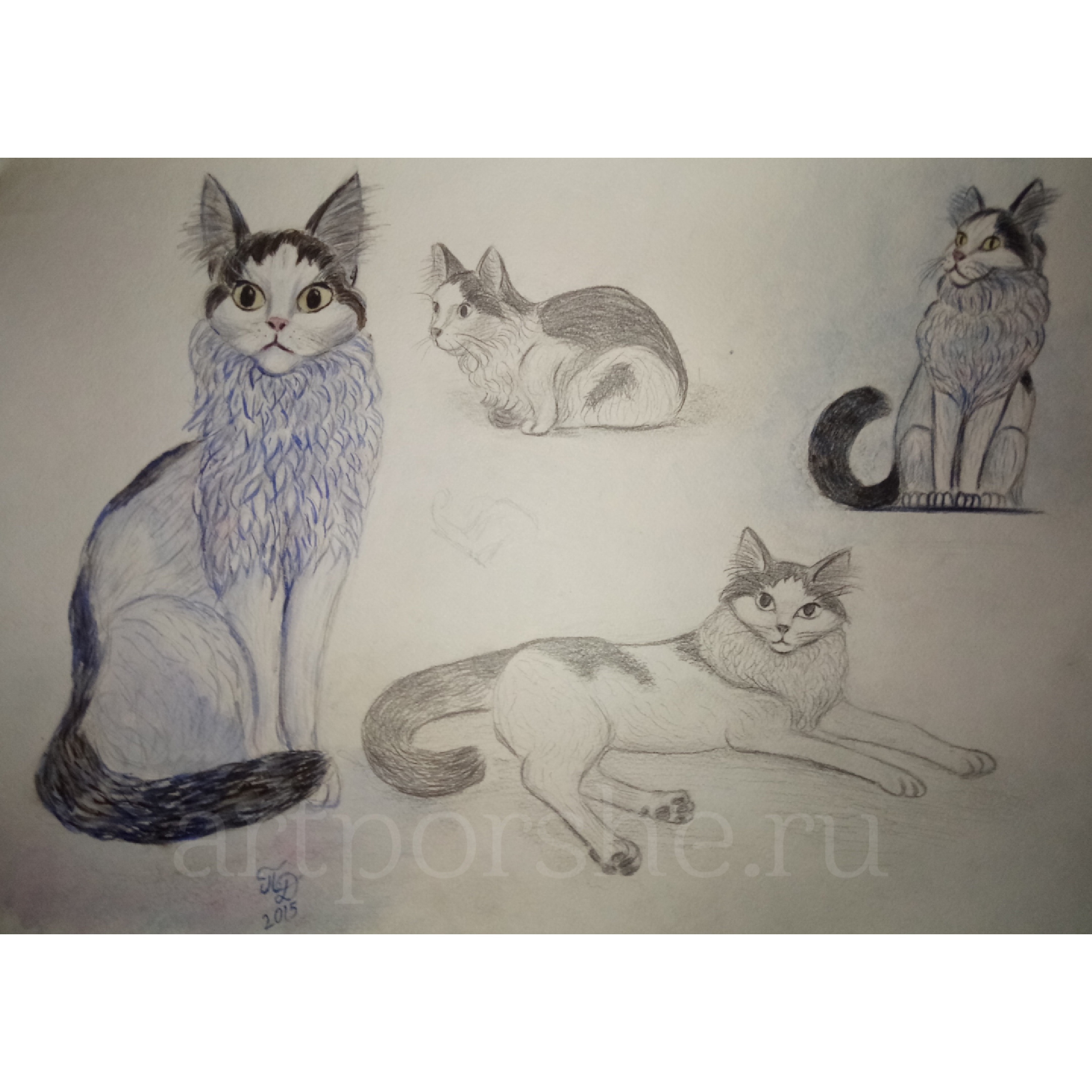 Photo 1622292132424