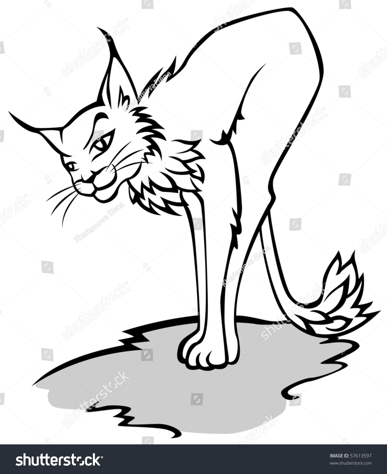Stock vector tattoo of wild lynx 57613597