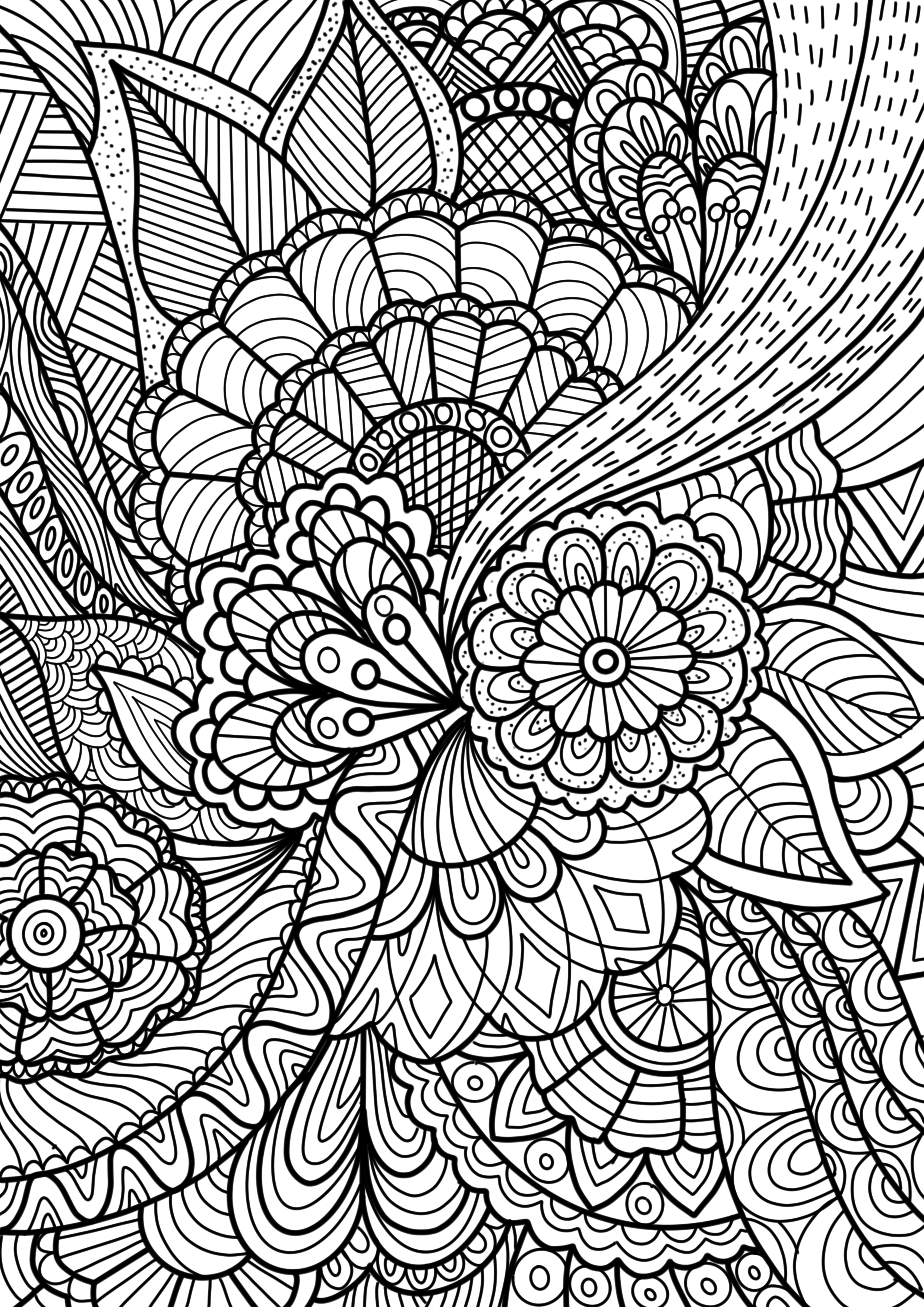 Img 1078