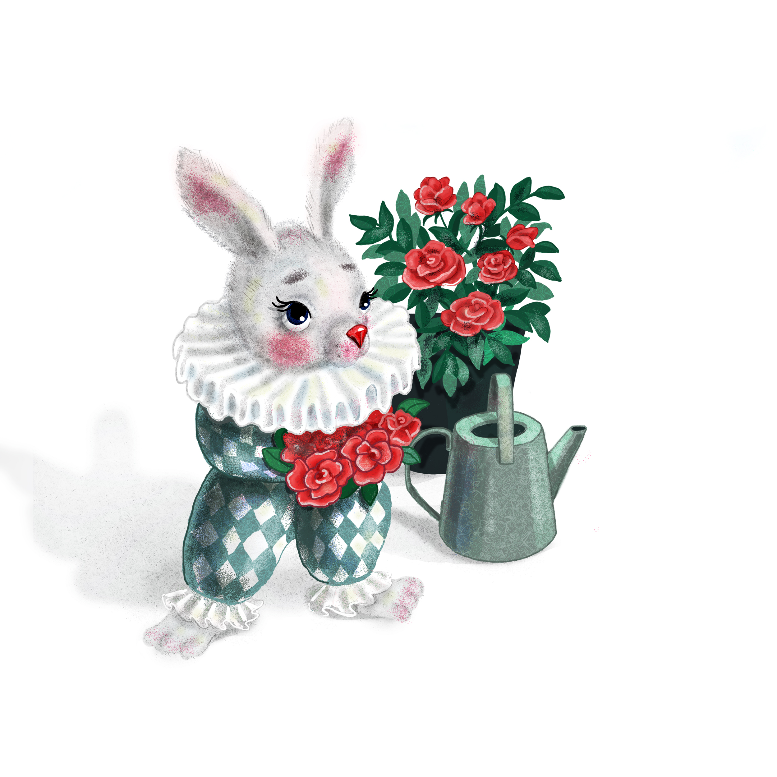 Rabbit