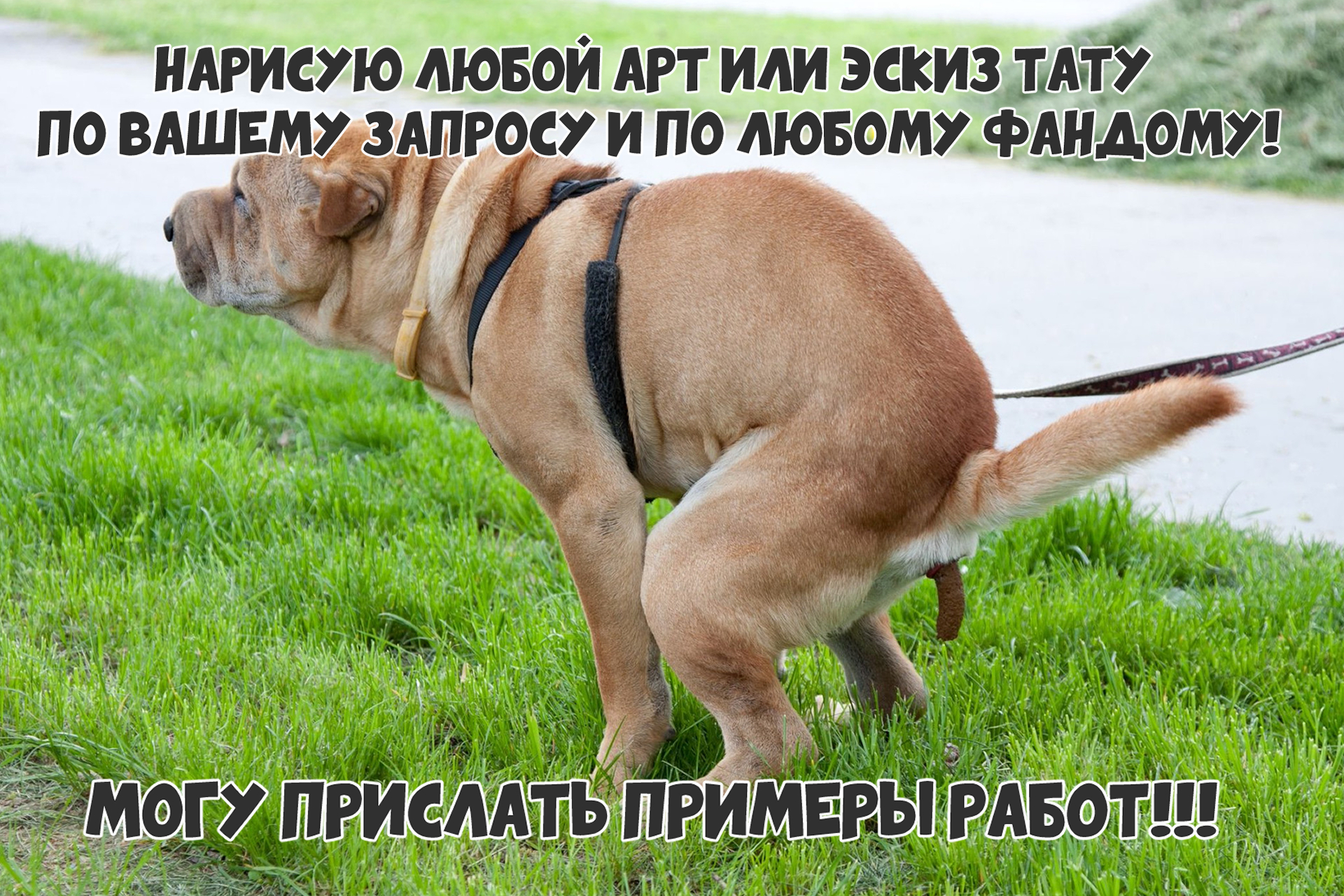 Hiaaagmc ea 1920 2