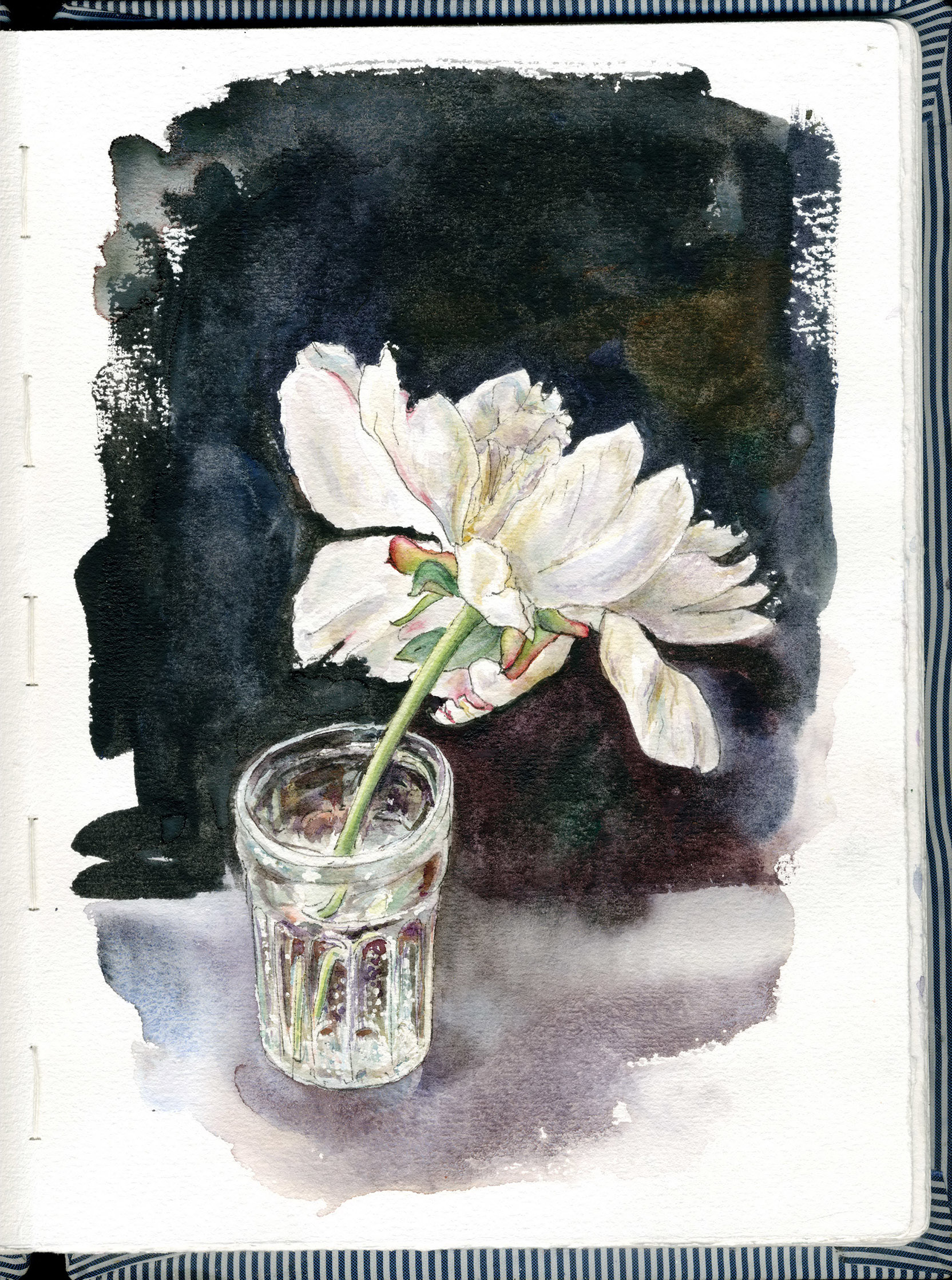 Peony777.1
