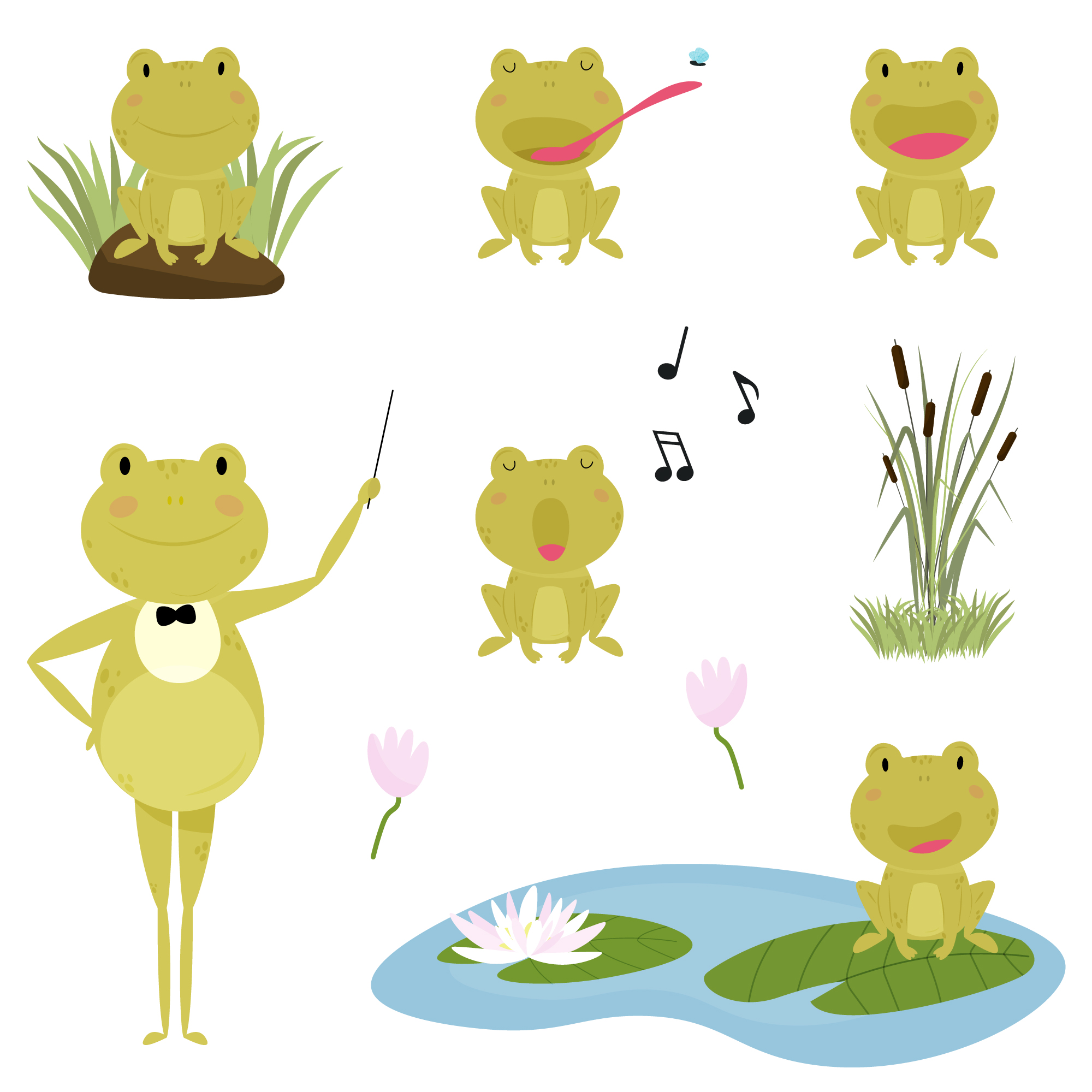 Frog