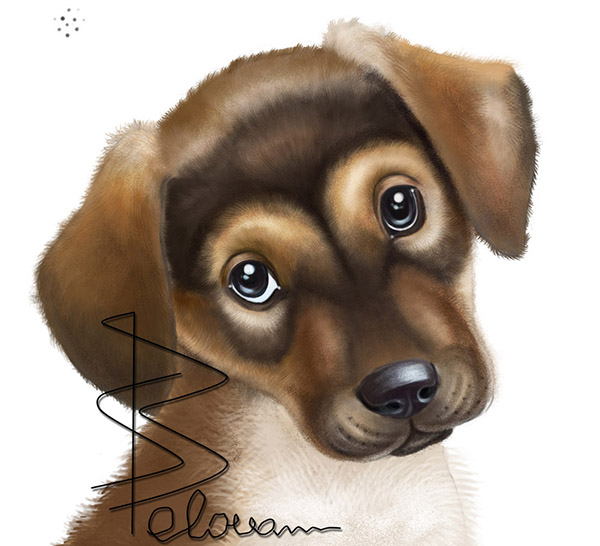 Puppy