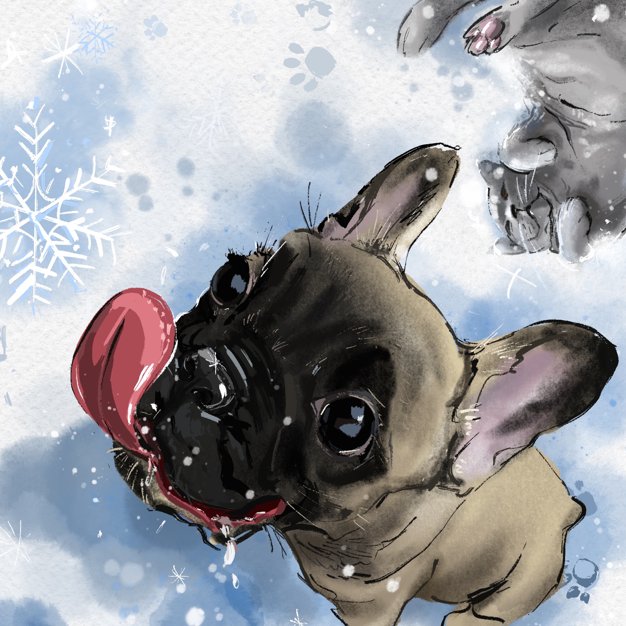 Image 24 01 22 04 25 4