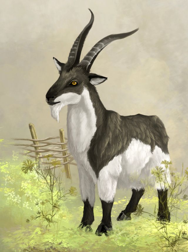 Goat %d0%ba%d0%be%d0%b7%d0%bb%d0%b8%d0%bd%d0%b0 %d0%b0%d0%b3%d0%b0