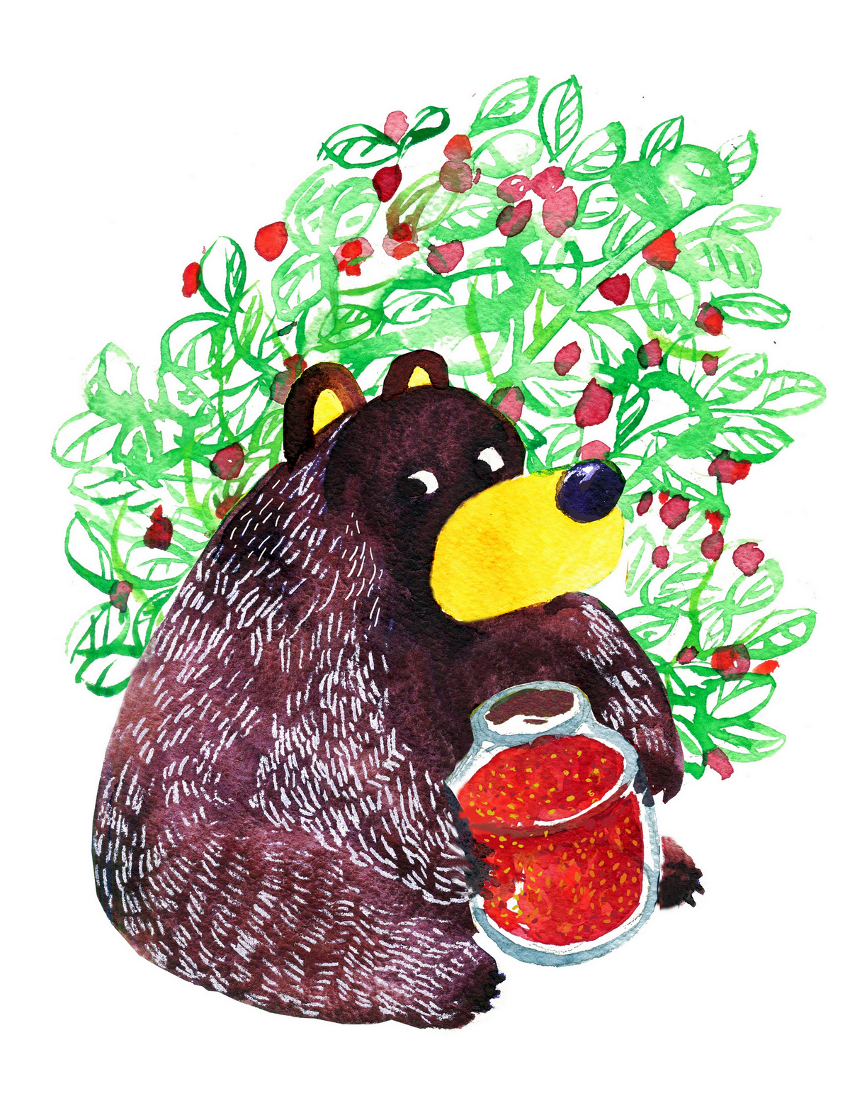 Bear s 