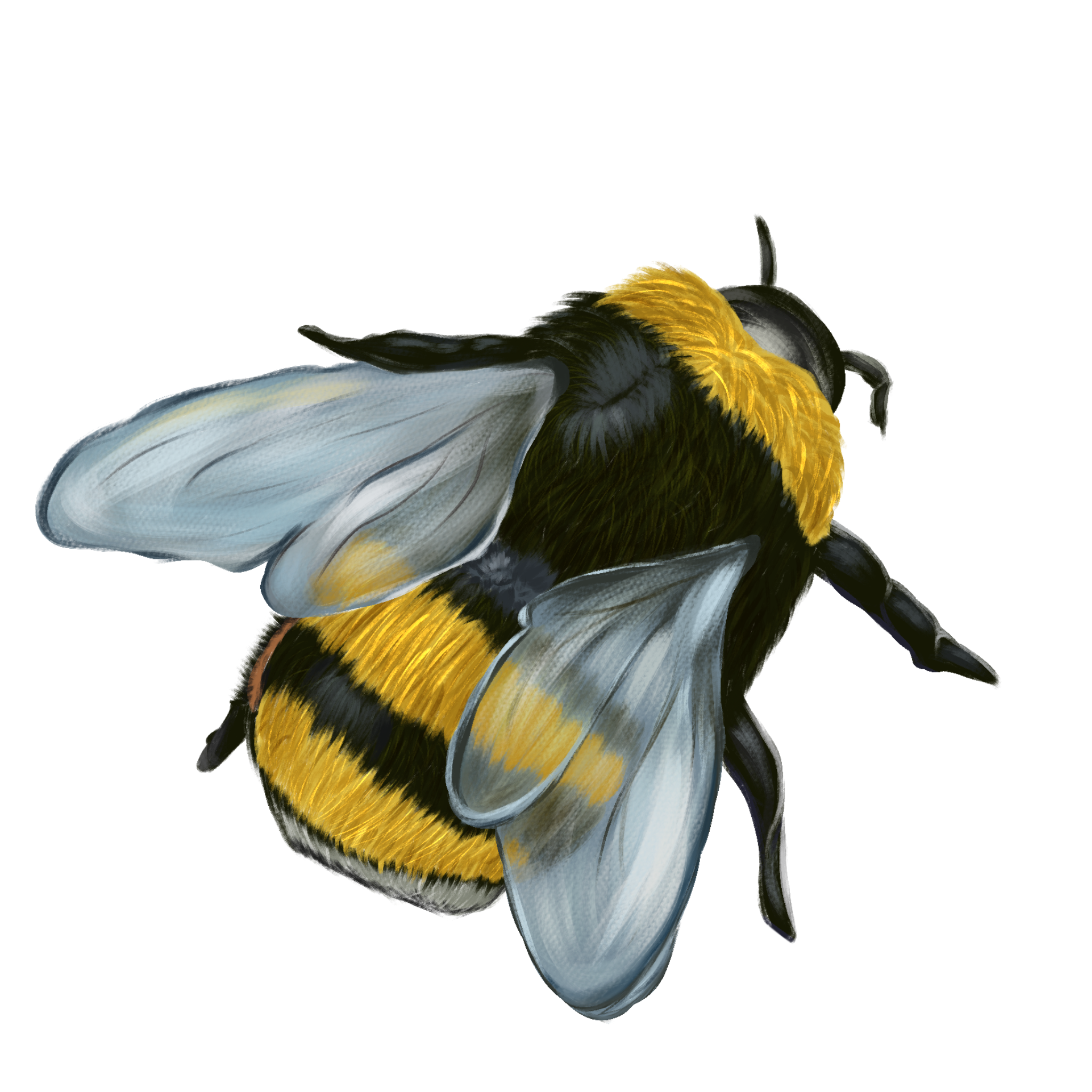 Adf68970 0309 41ef 8b8e 321e37074f82