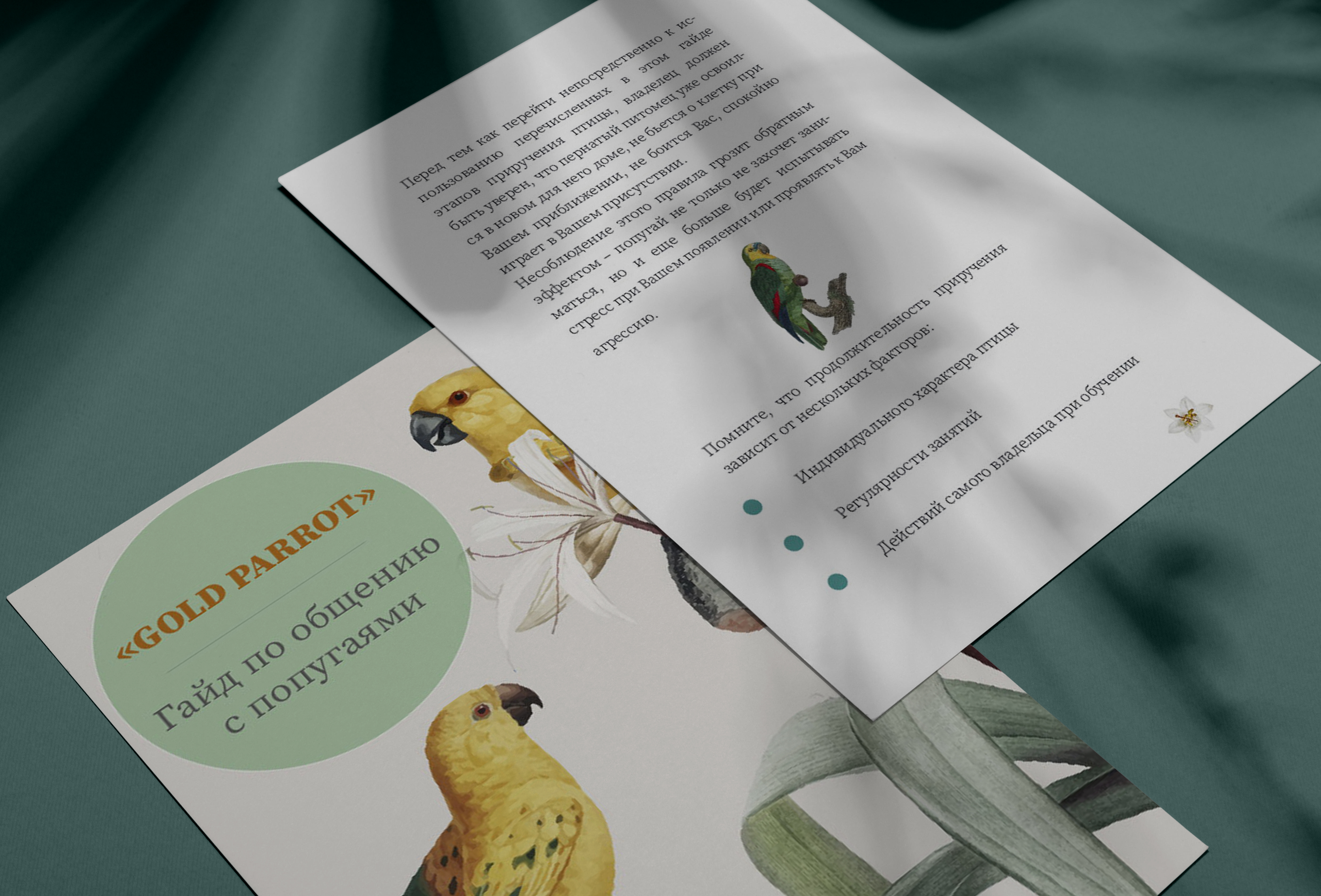 Mockup1