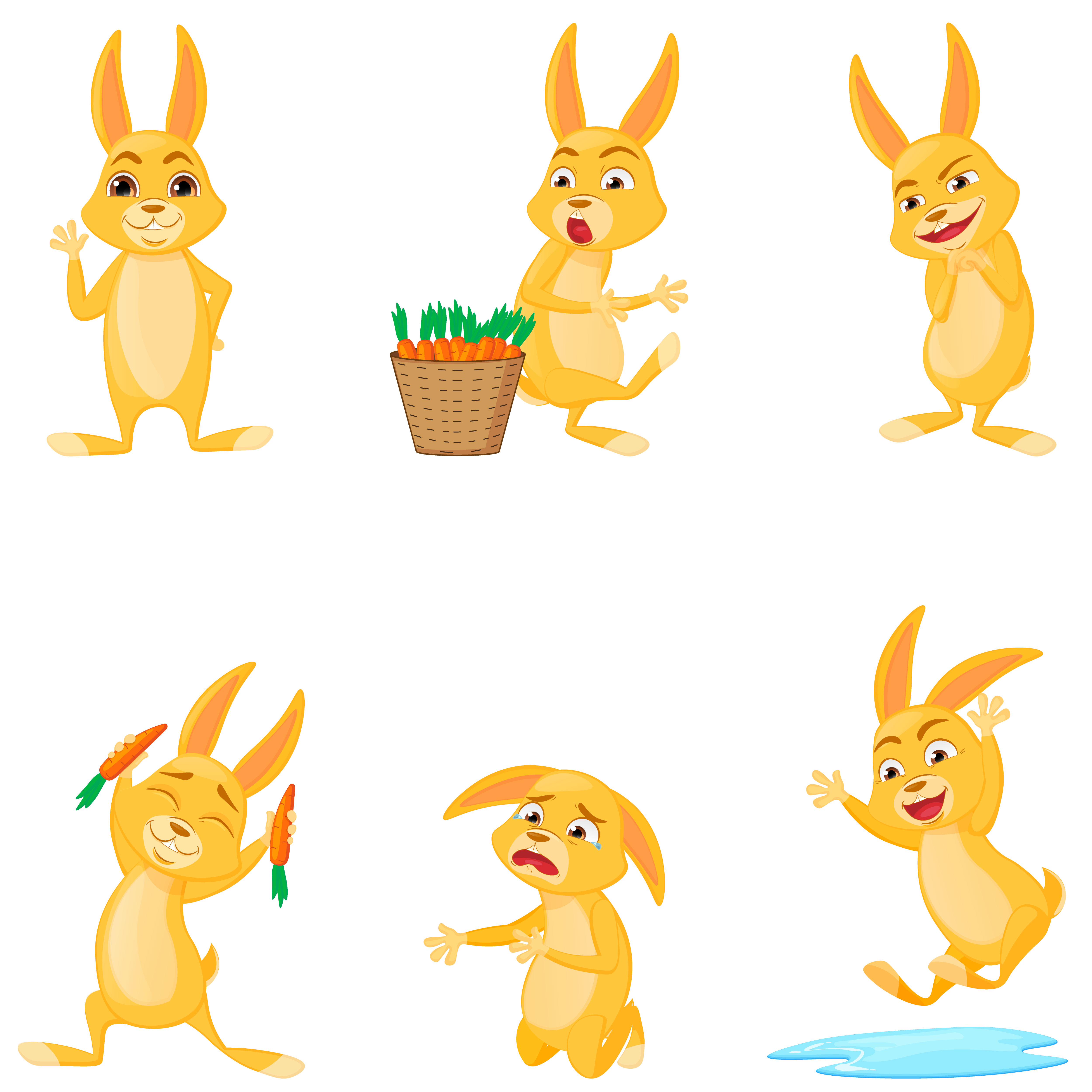 Rabbit