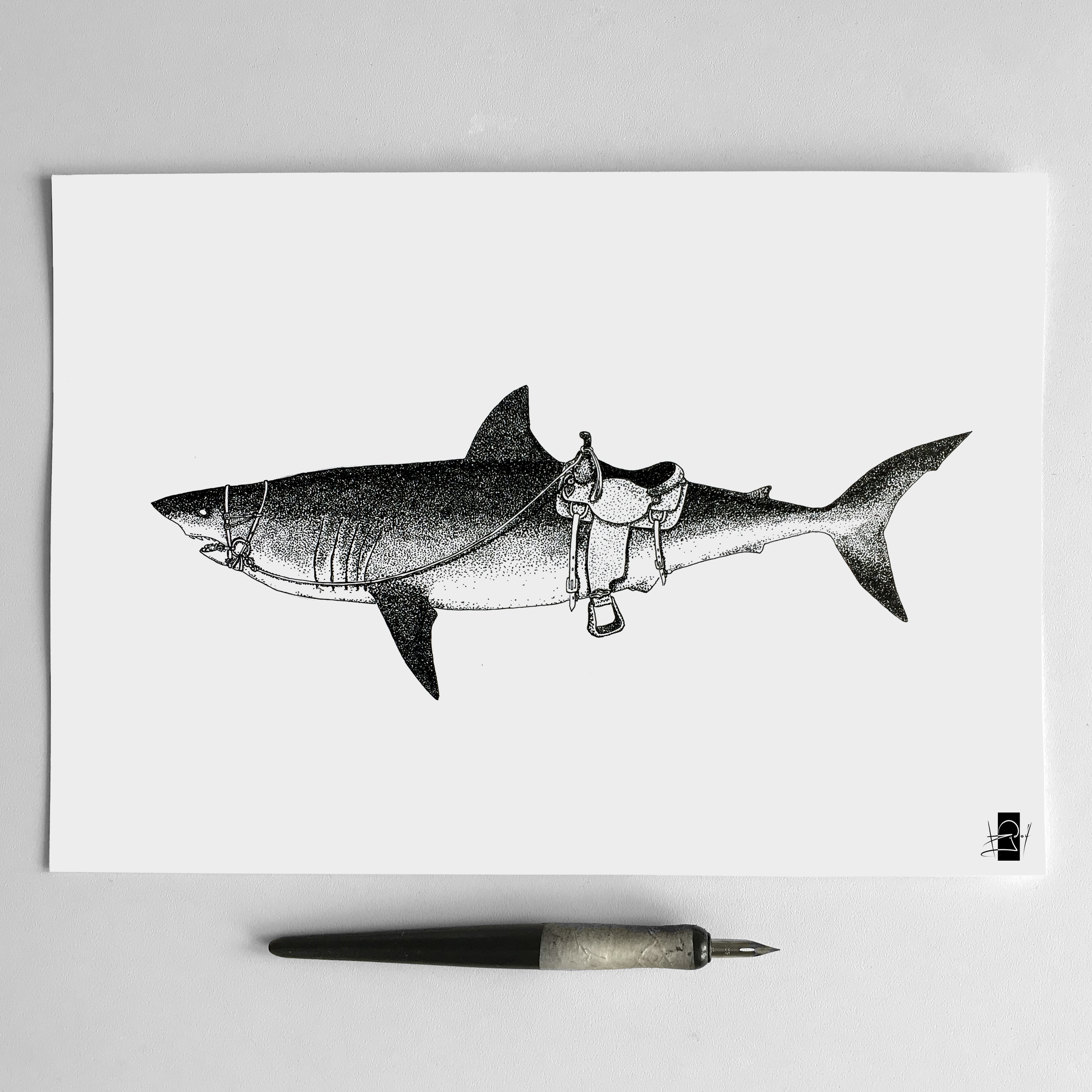 Shark
