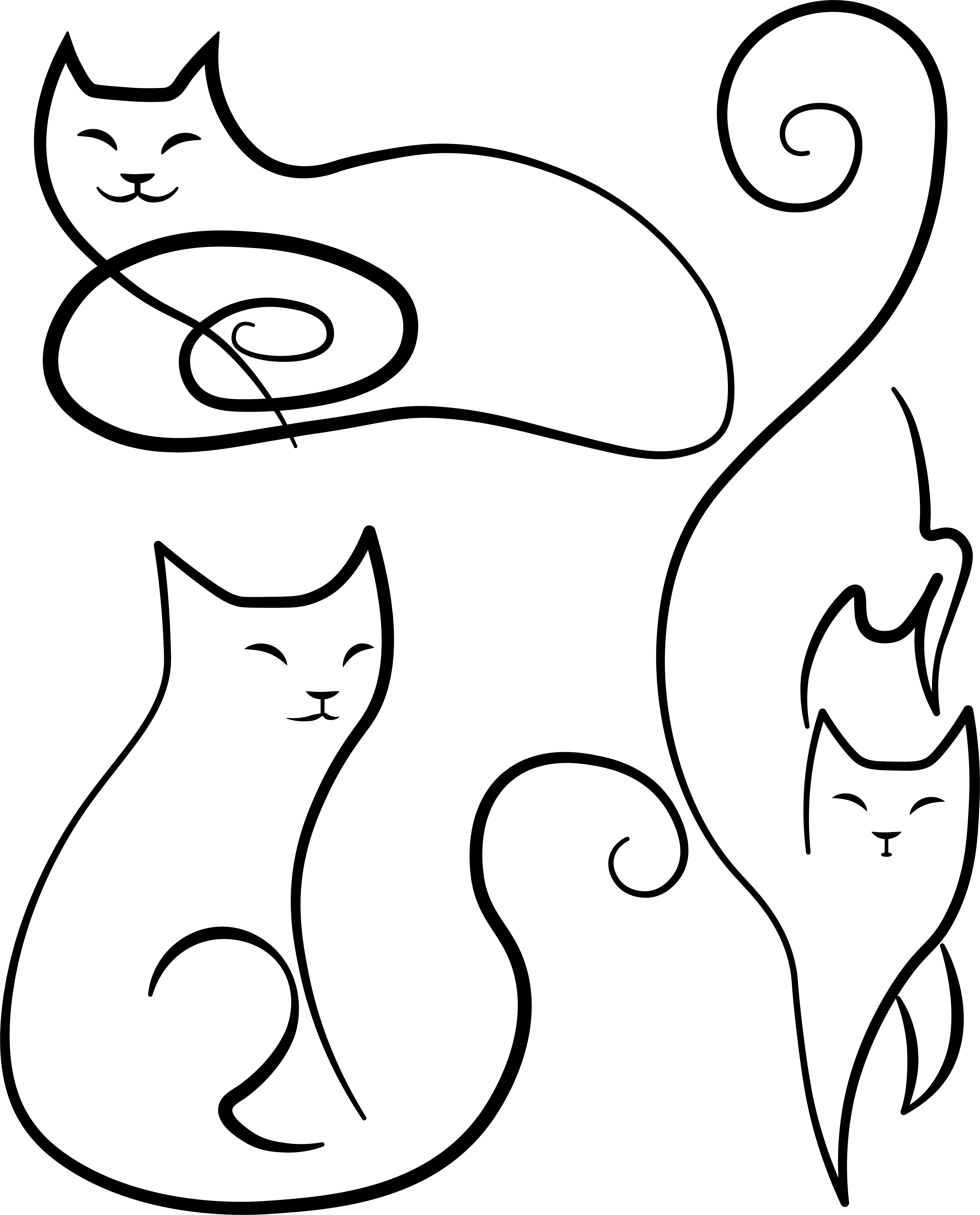 Cats