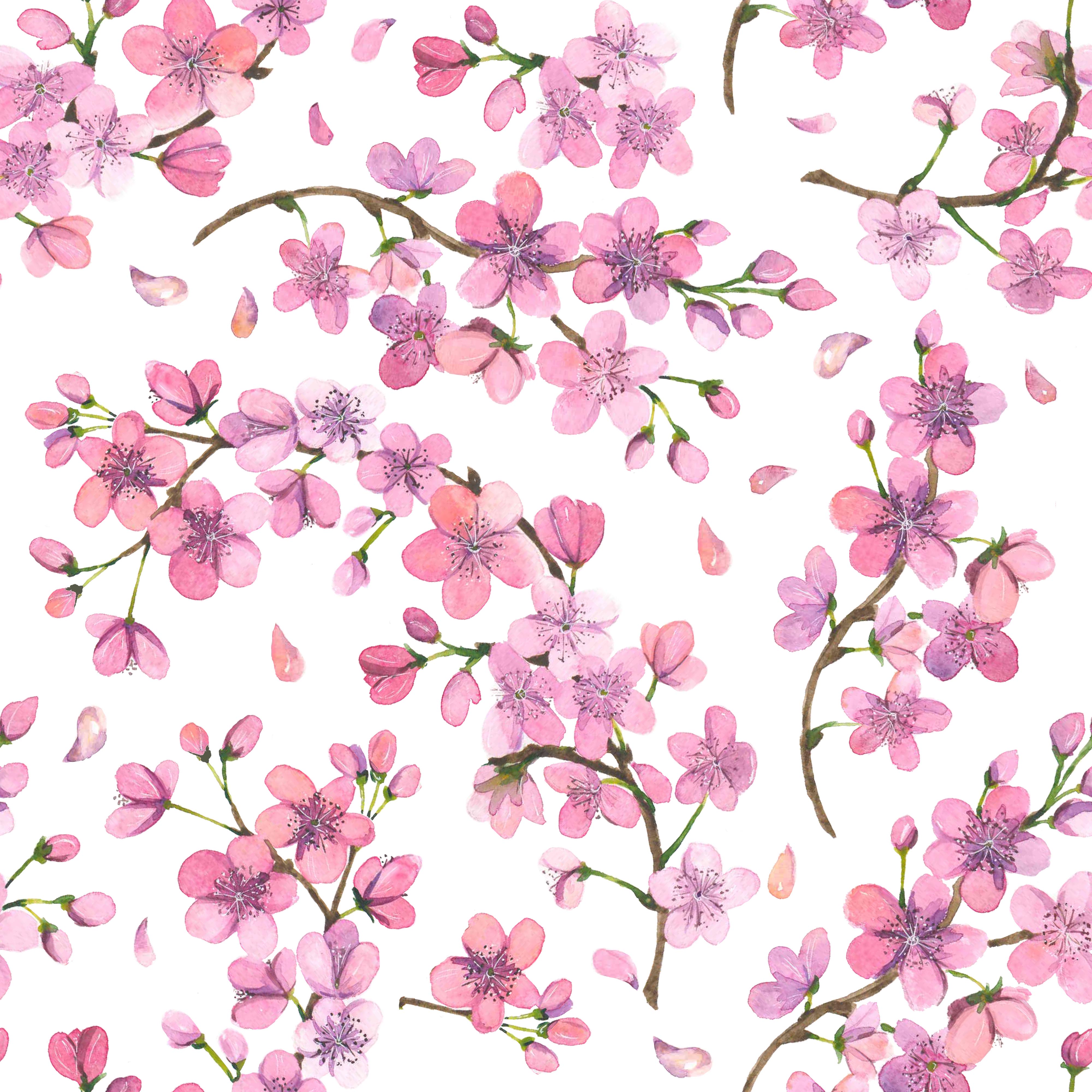 Sacura pattern