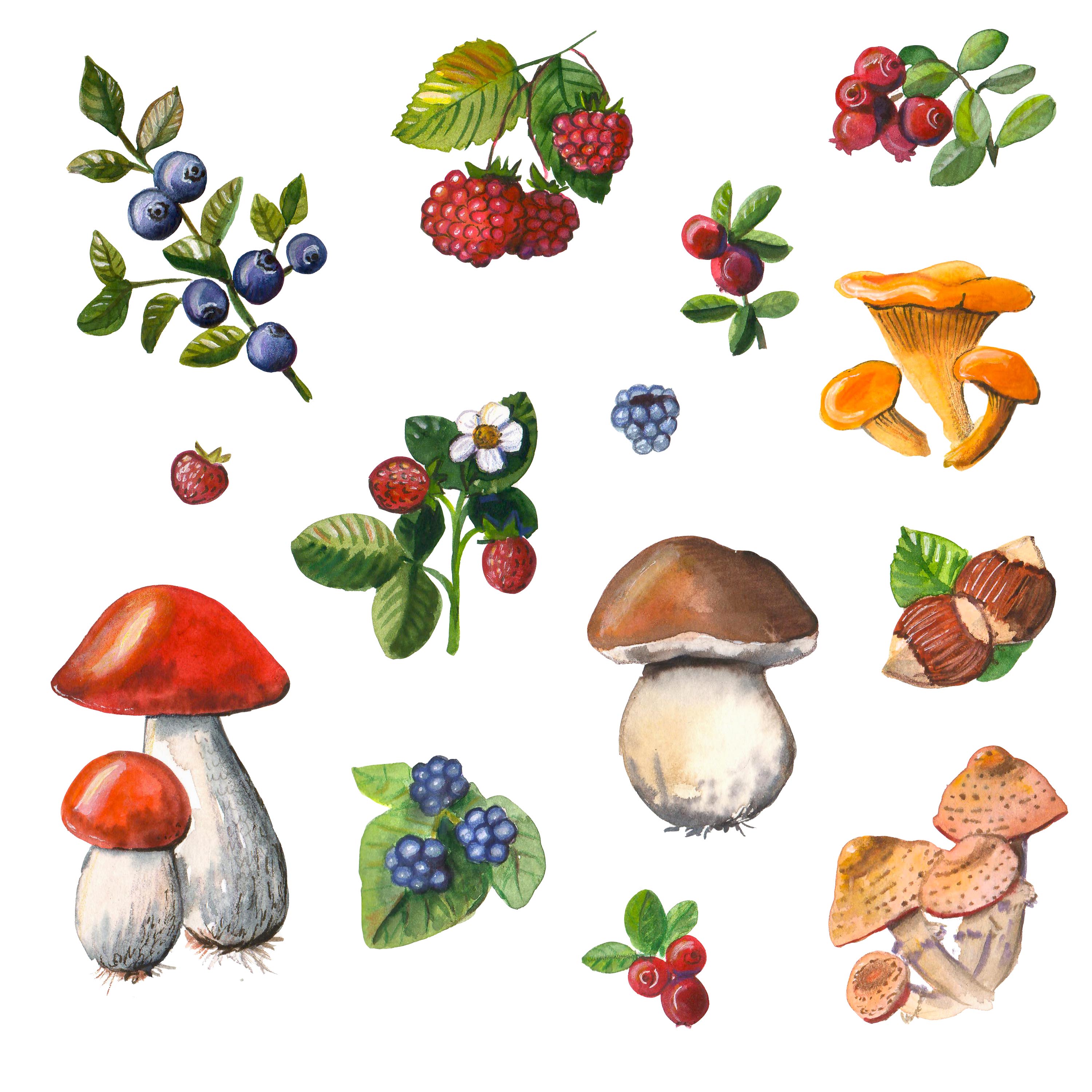 Forest gifts
