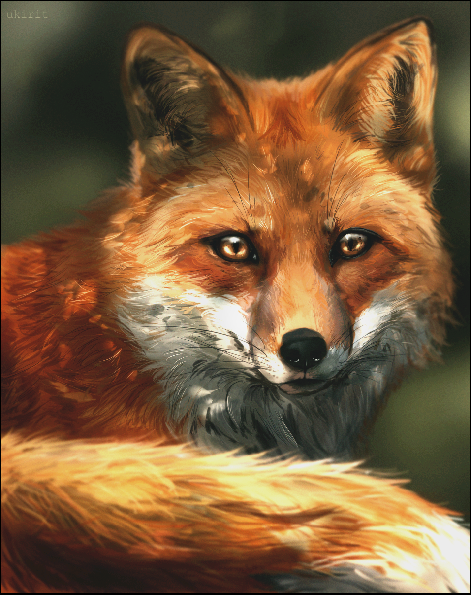 Fox