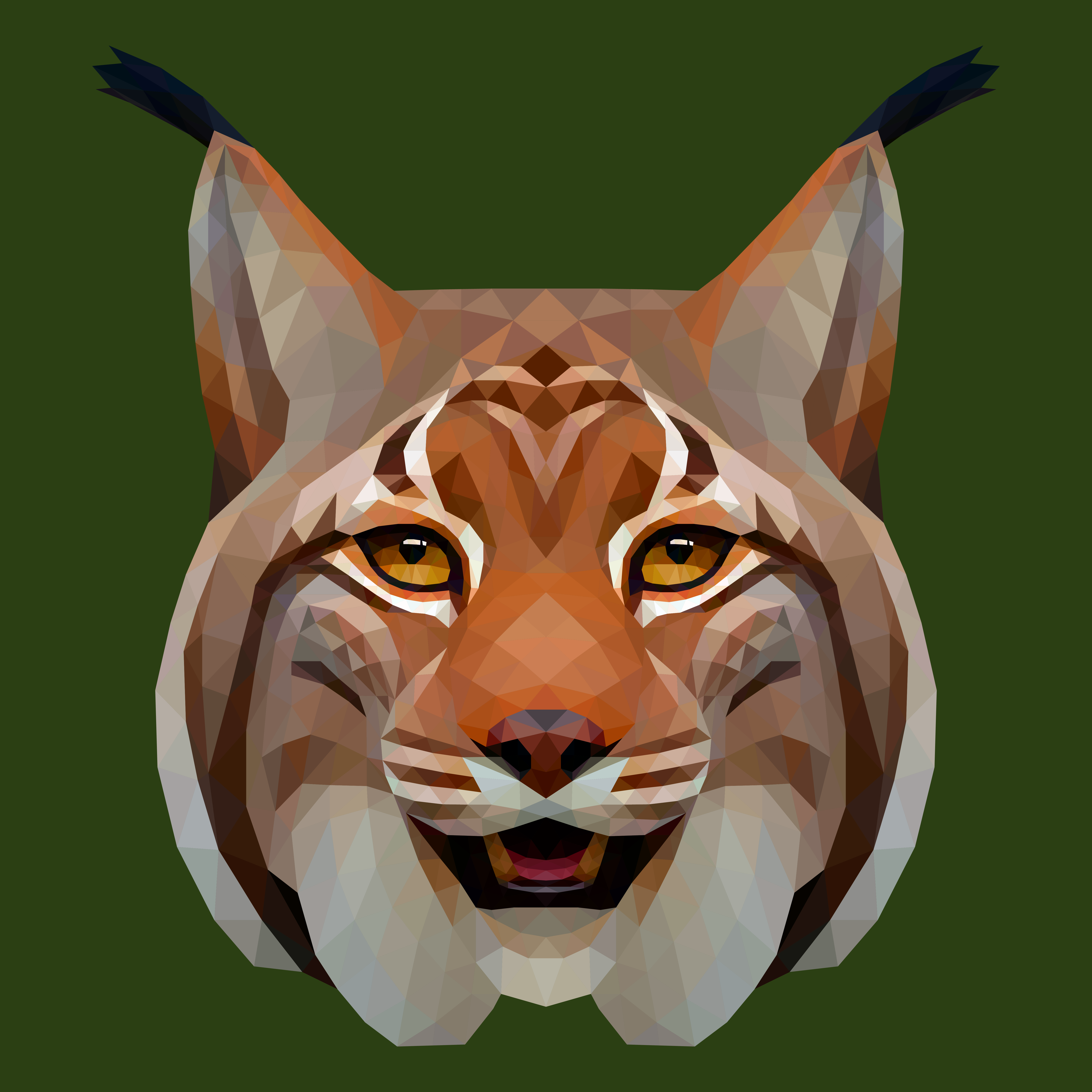 Lynx