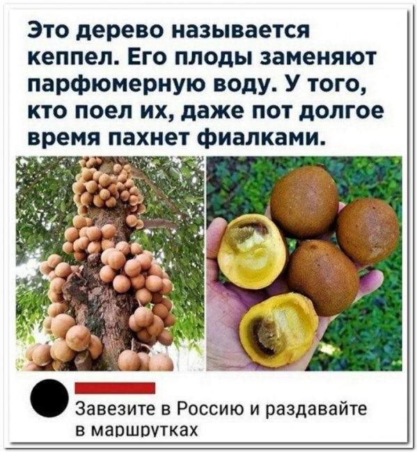 2022 04 27 mixnews comment 31