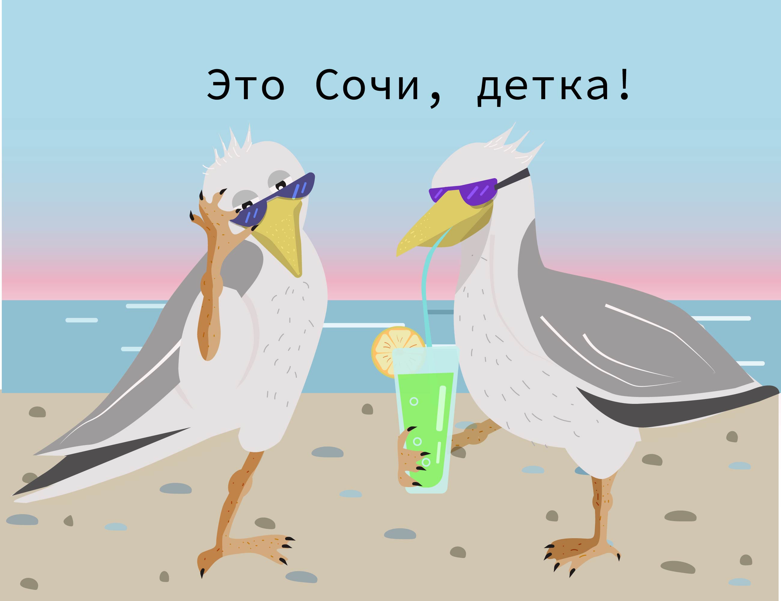 Gull  sochi1