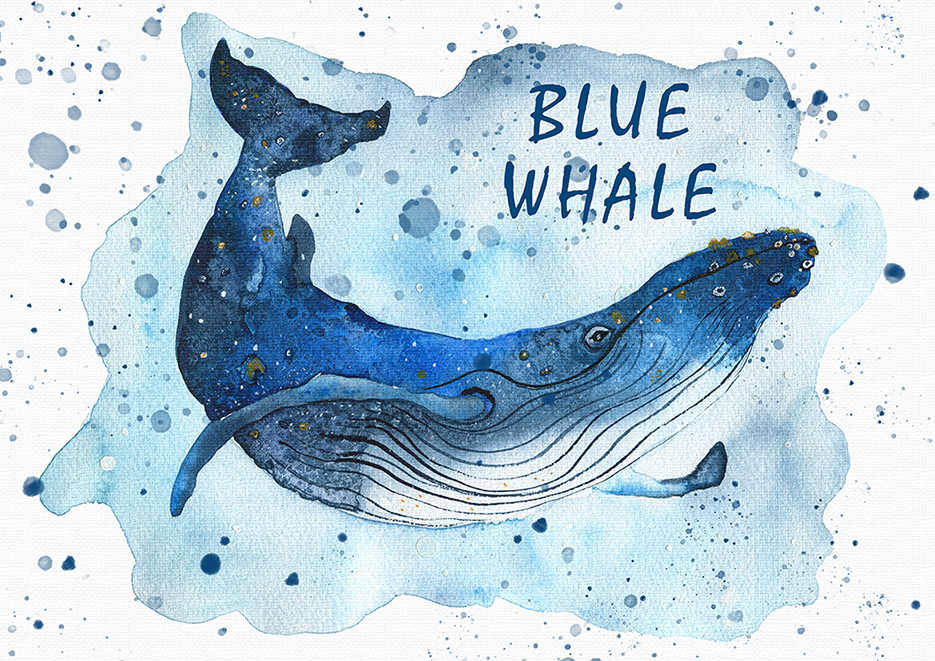 Whale 2
