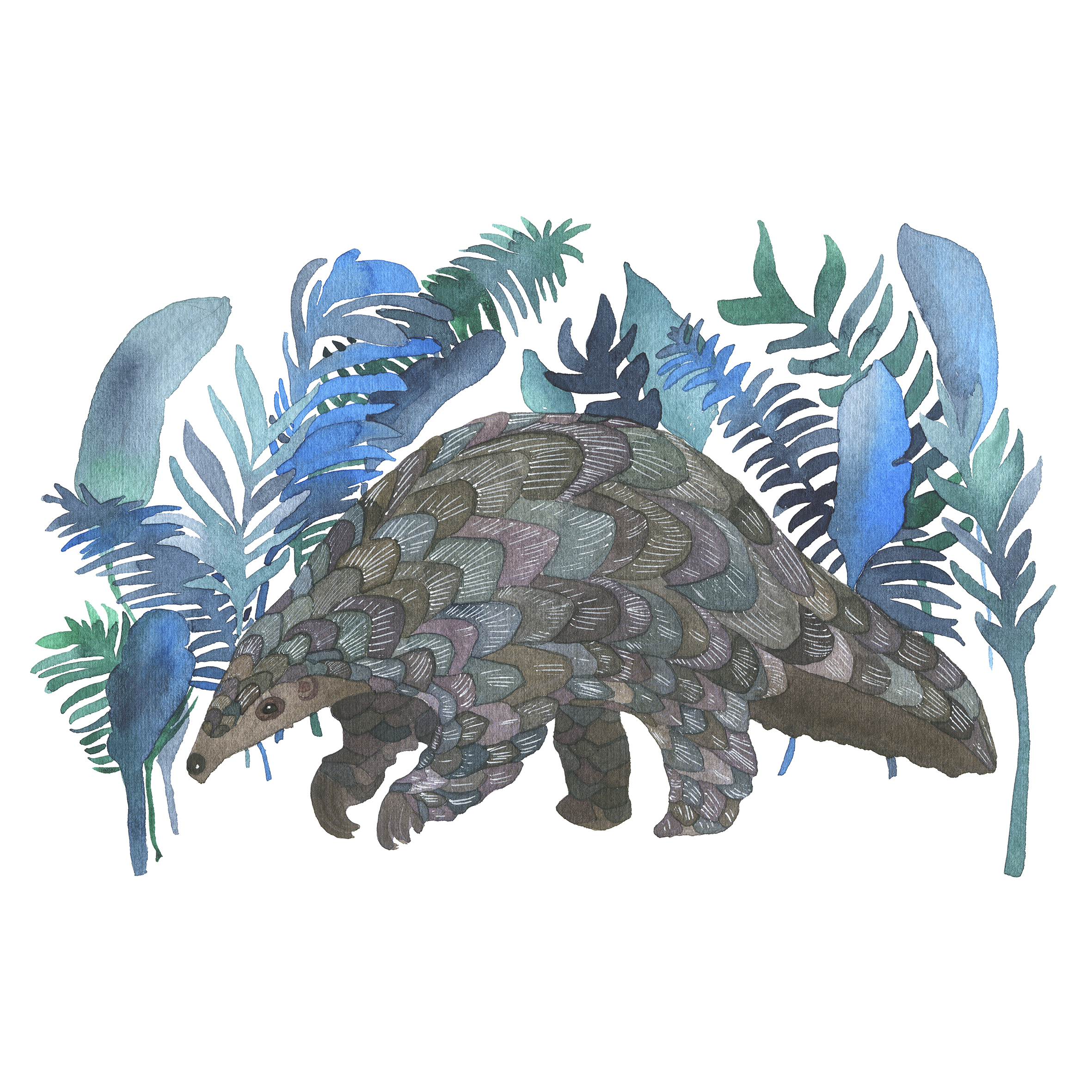 Pangolin inst