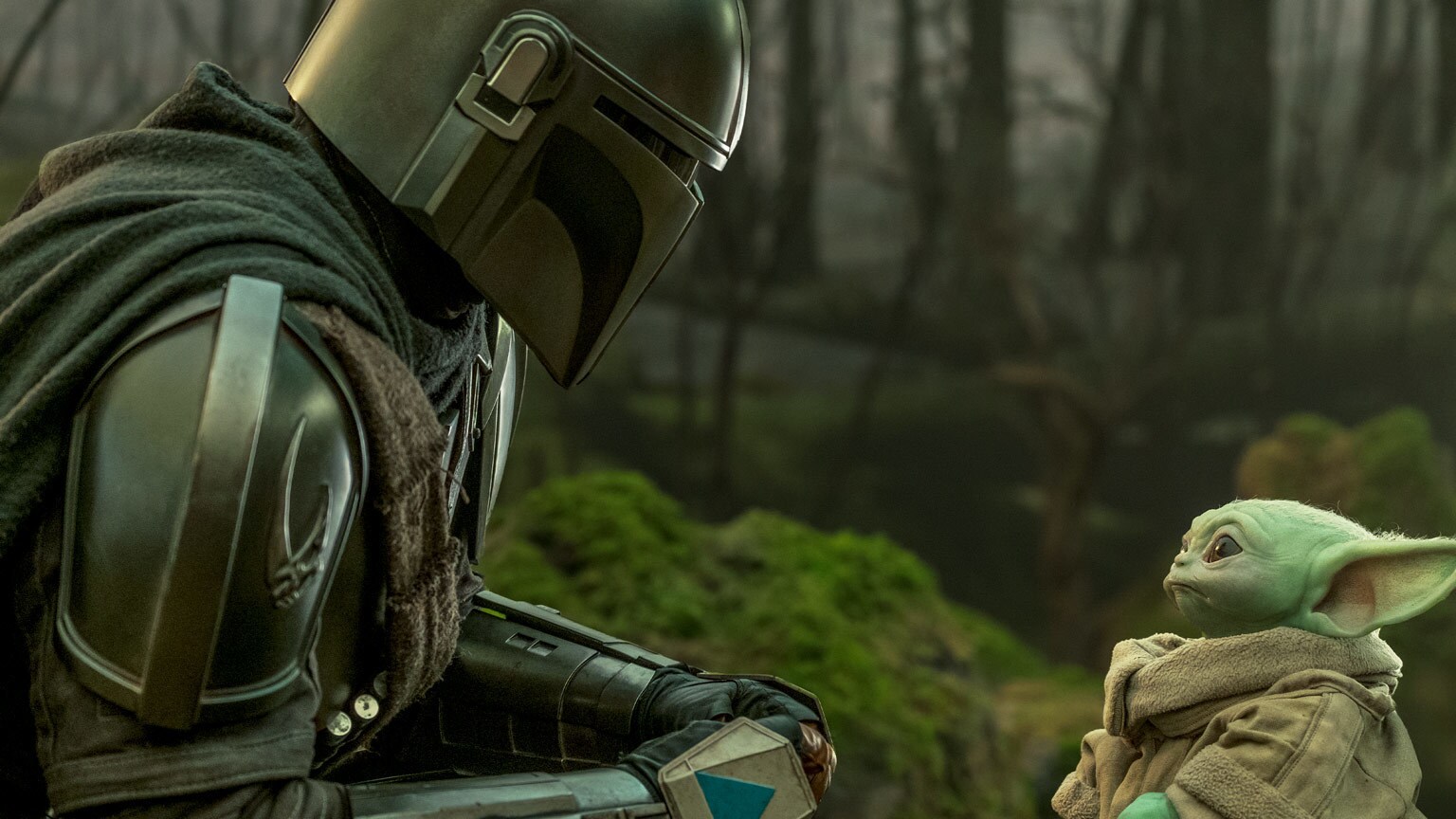 The mandalorian