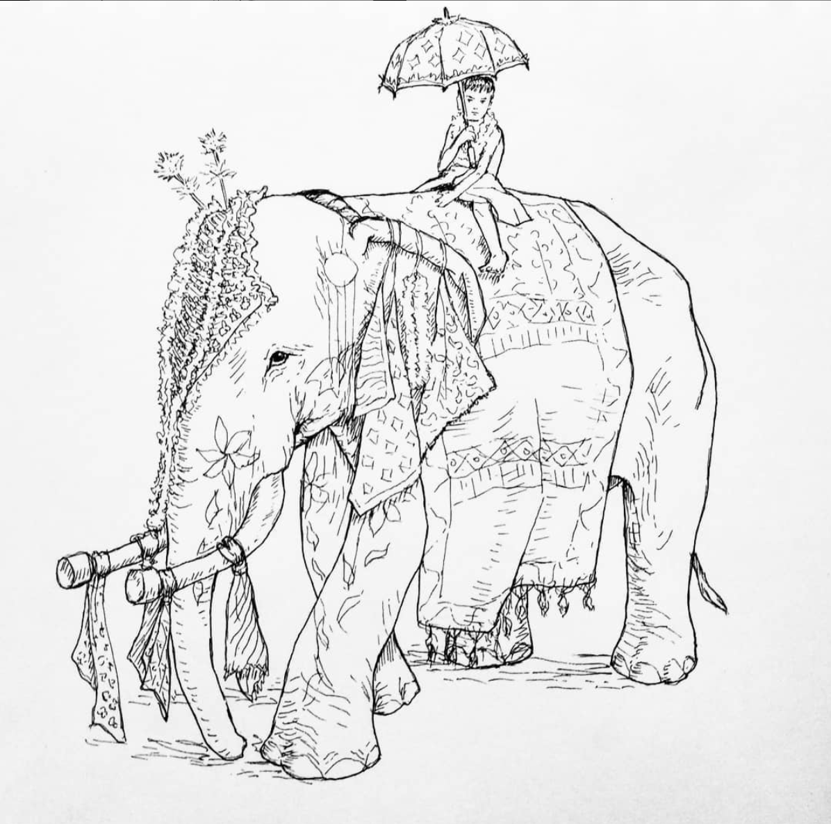 Sketch1