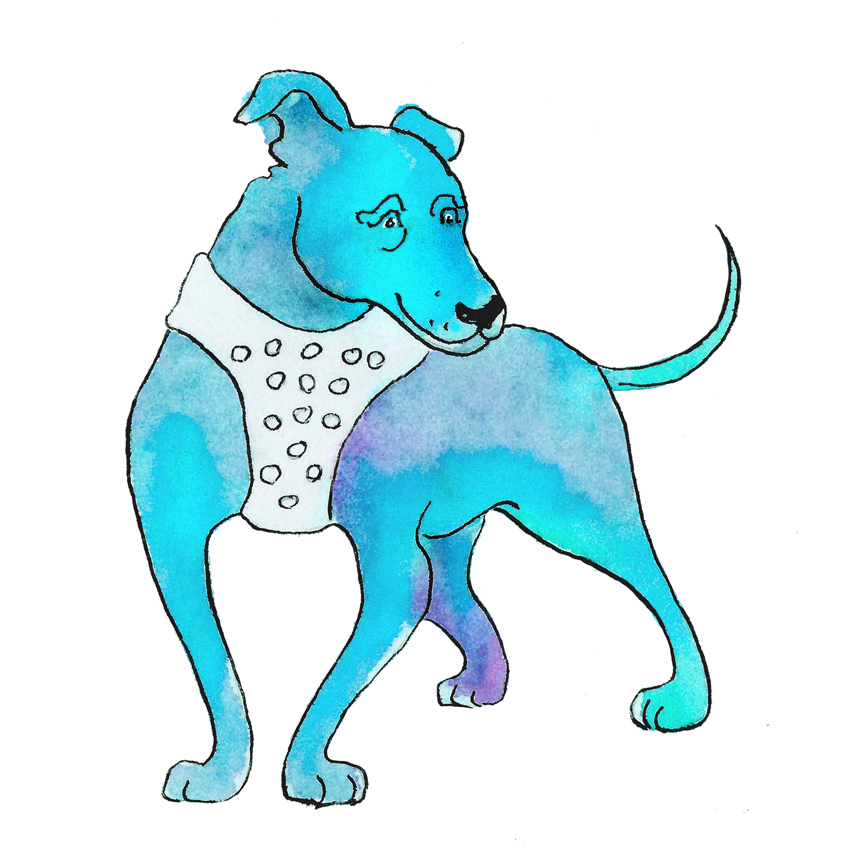 Dog boxing breed