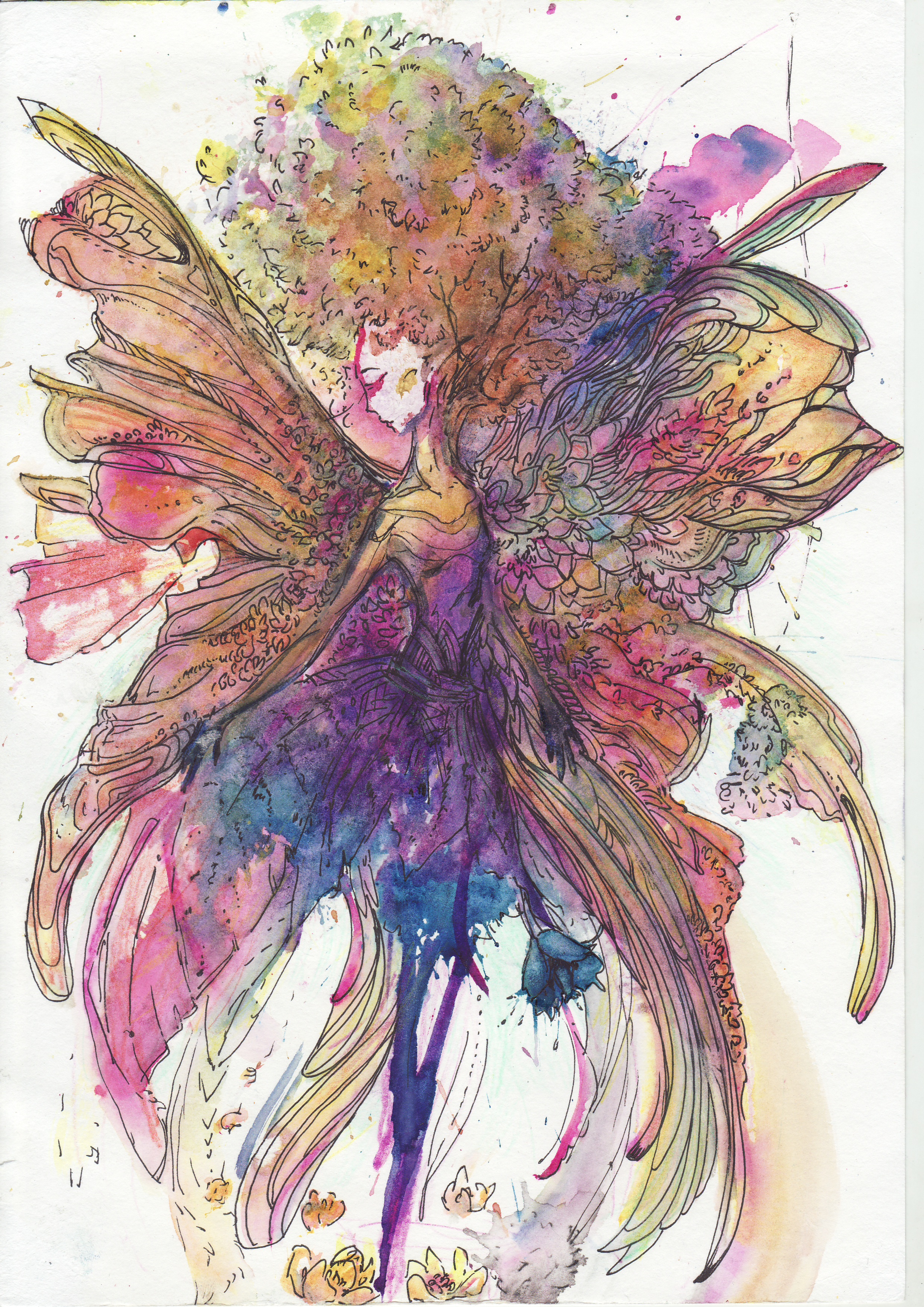 Image0016