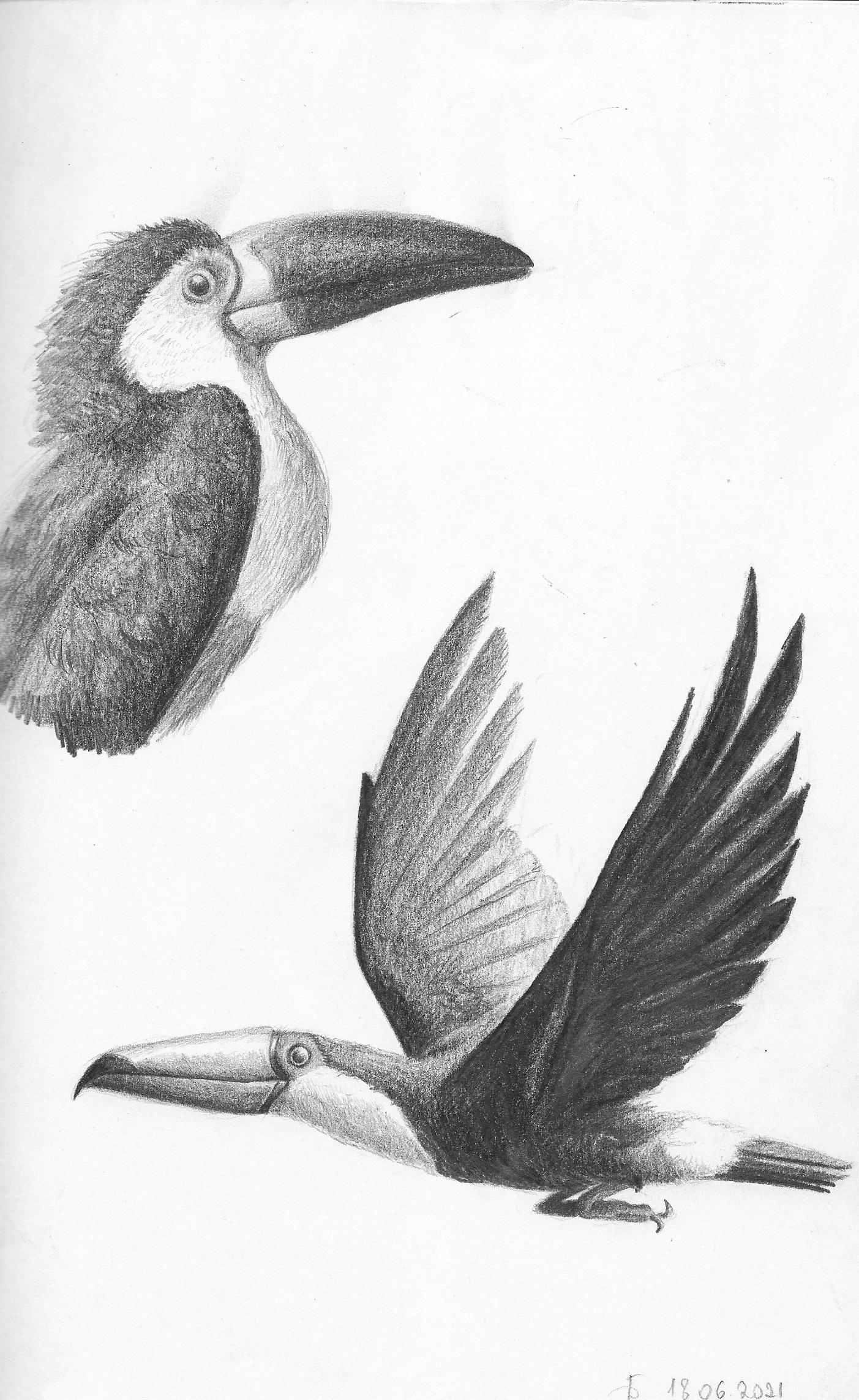 Scan