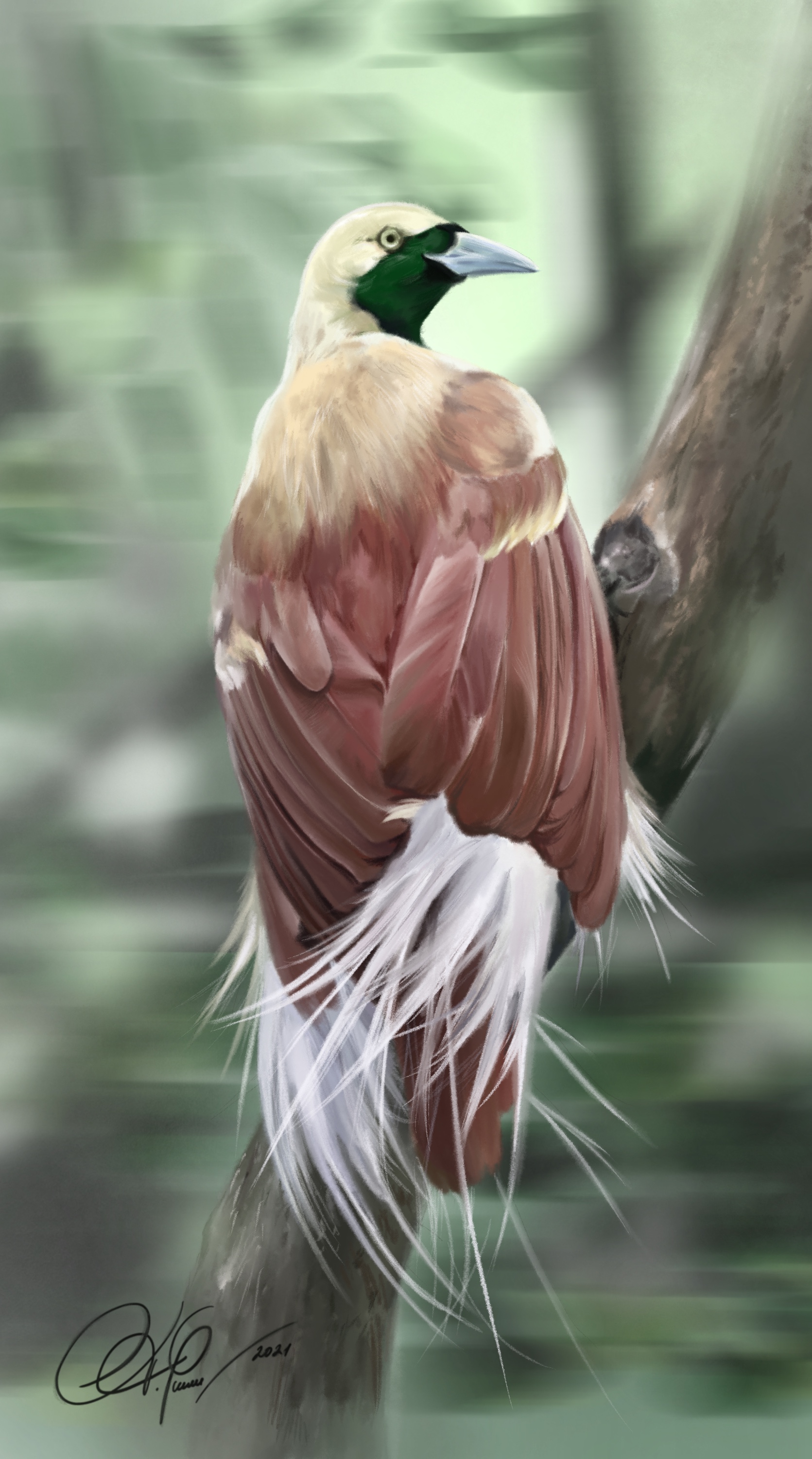 9a50ac34 024e 4399 b61b b59fd24df28d