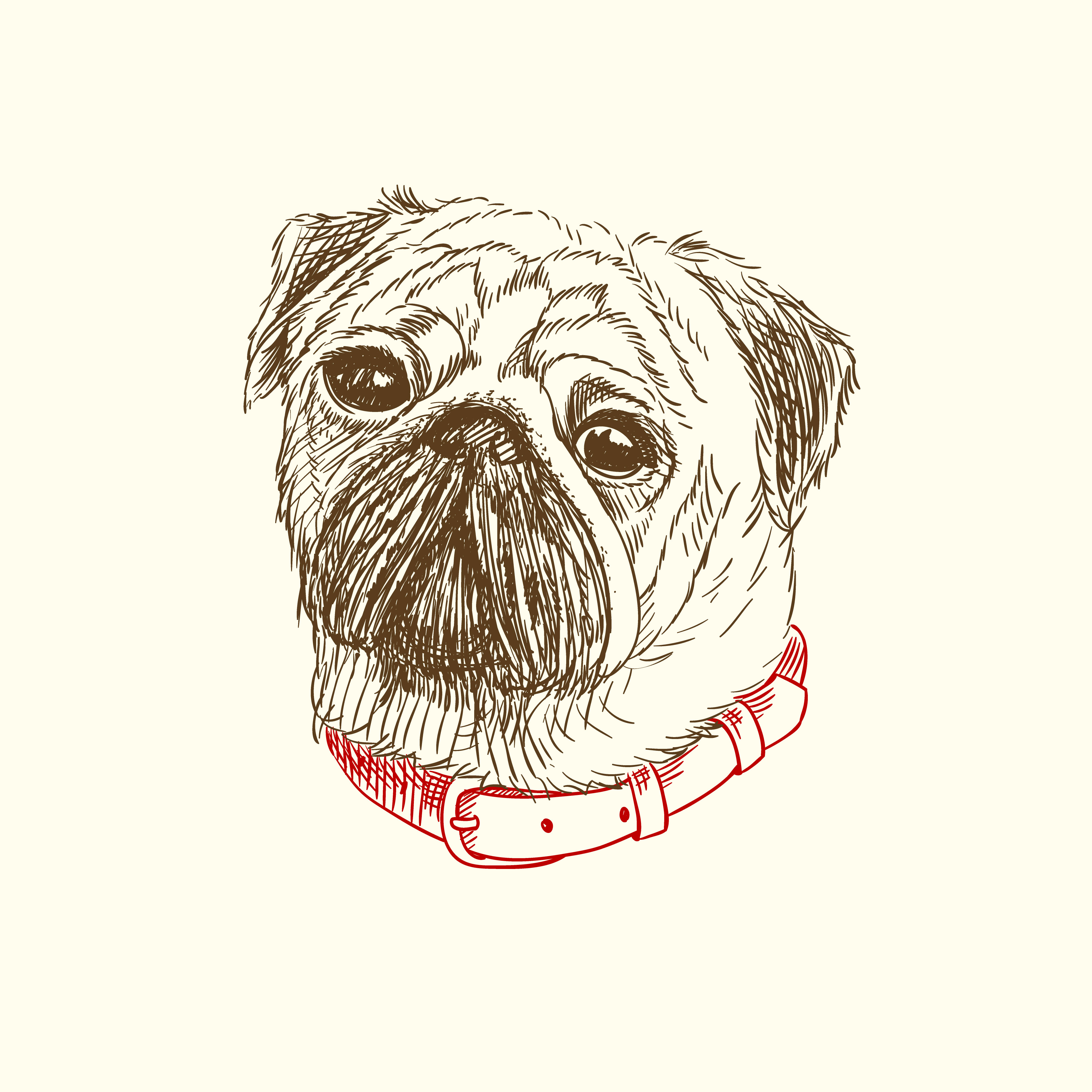 0711dog1