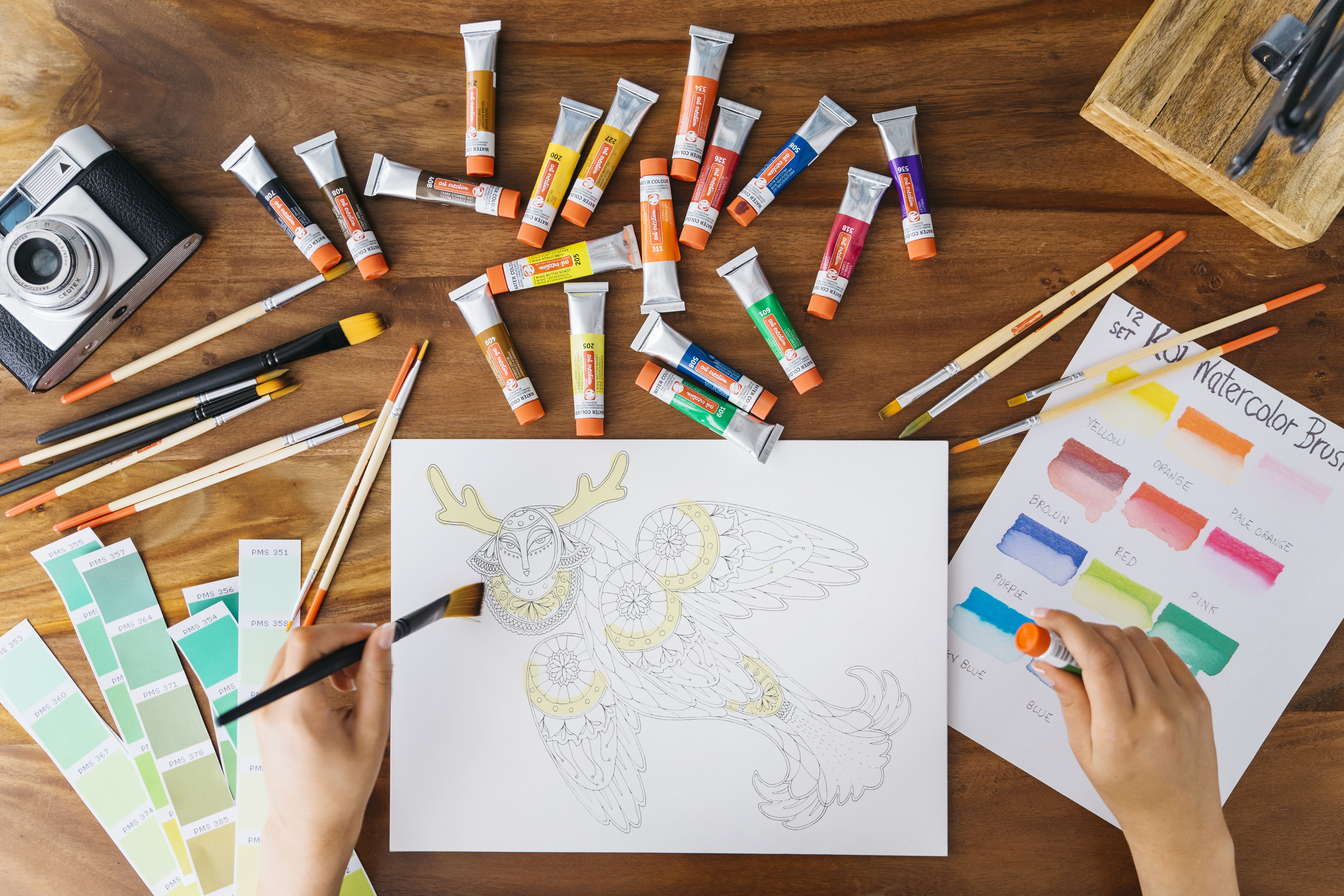 Sirin coloring