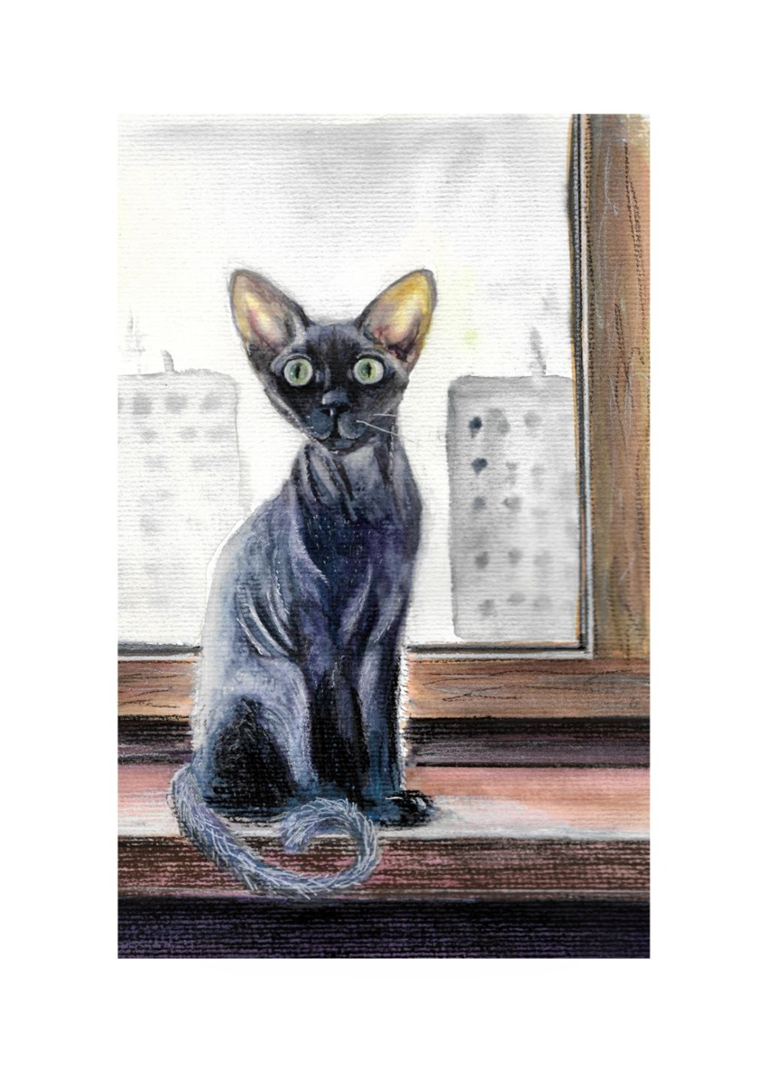 Cat