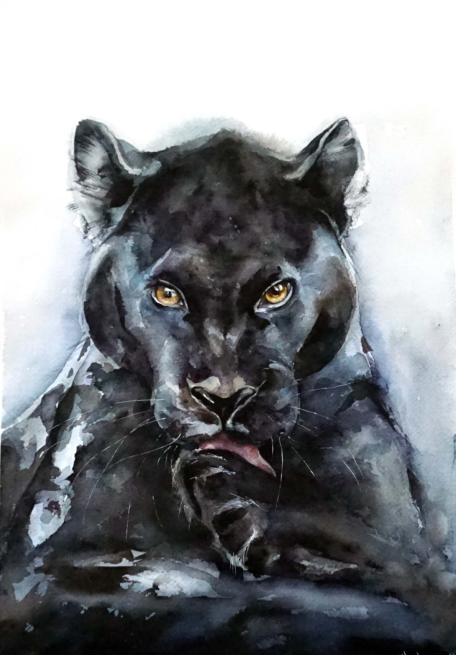 Bigcat