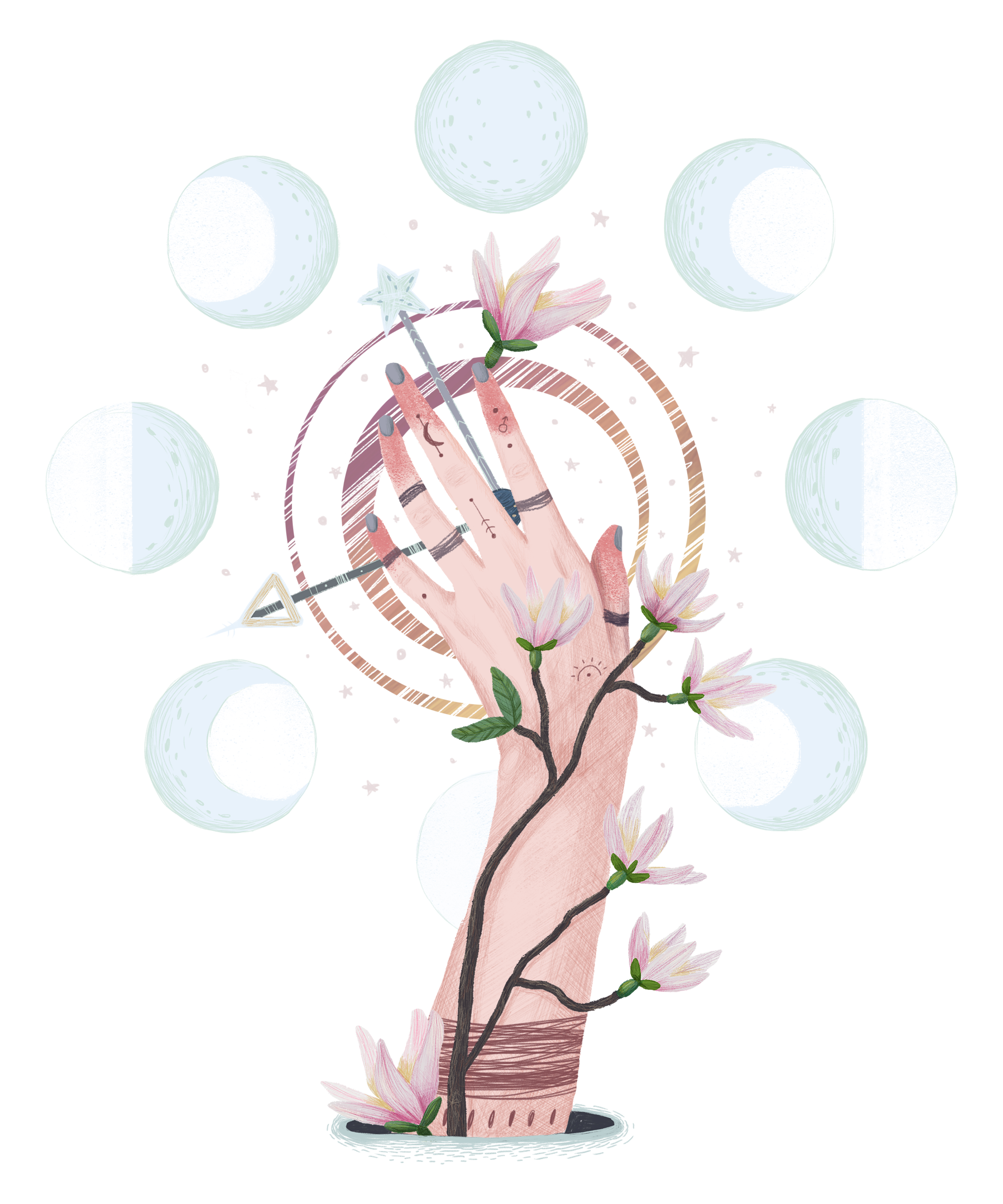 Magnolia and the moon