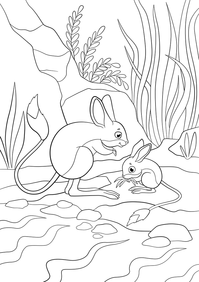 Jerboa coloring page