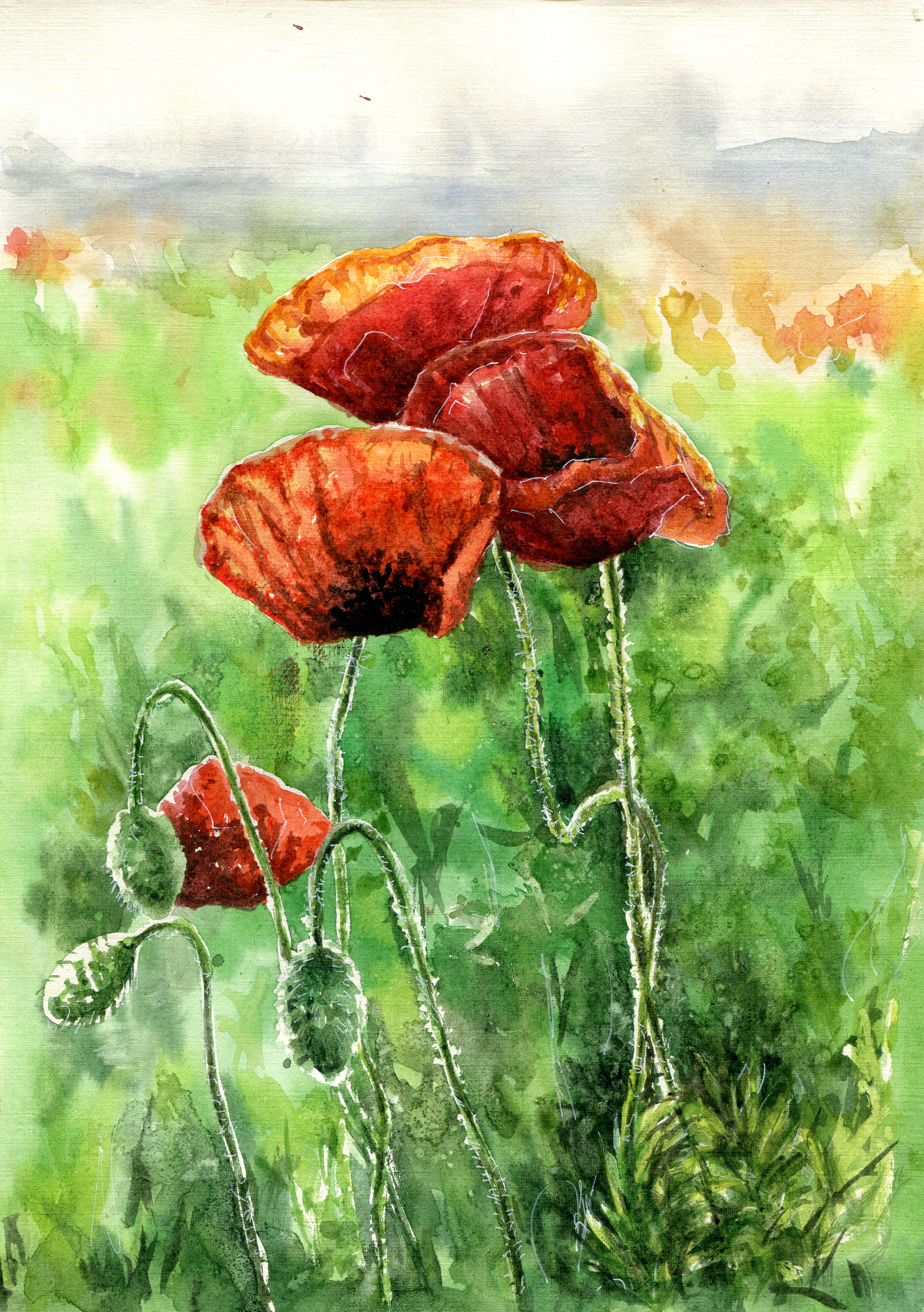 Scan055
