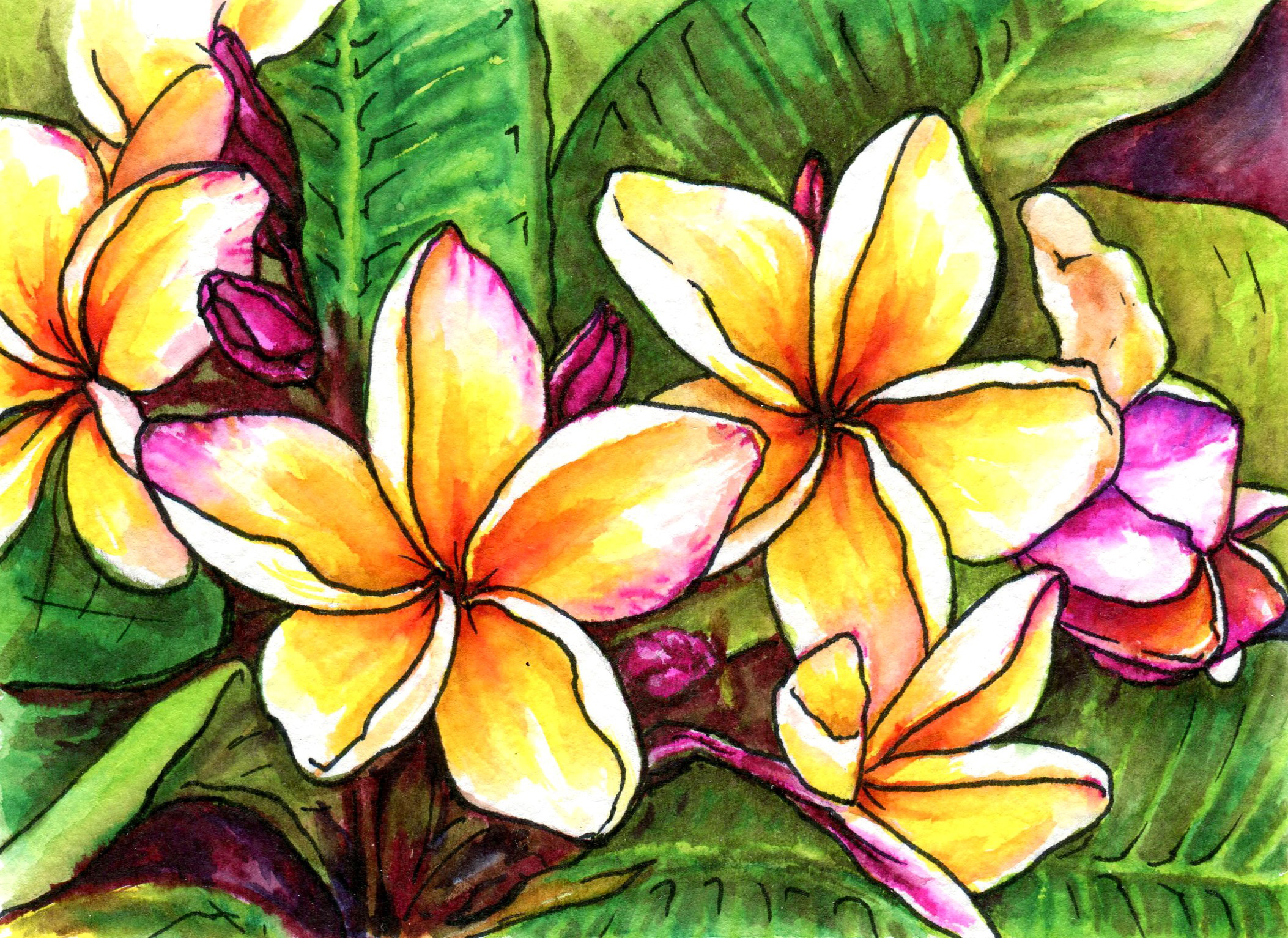 Scan004
