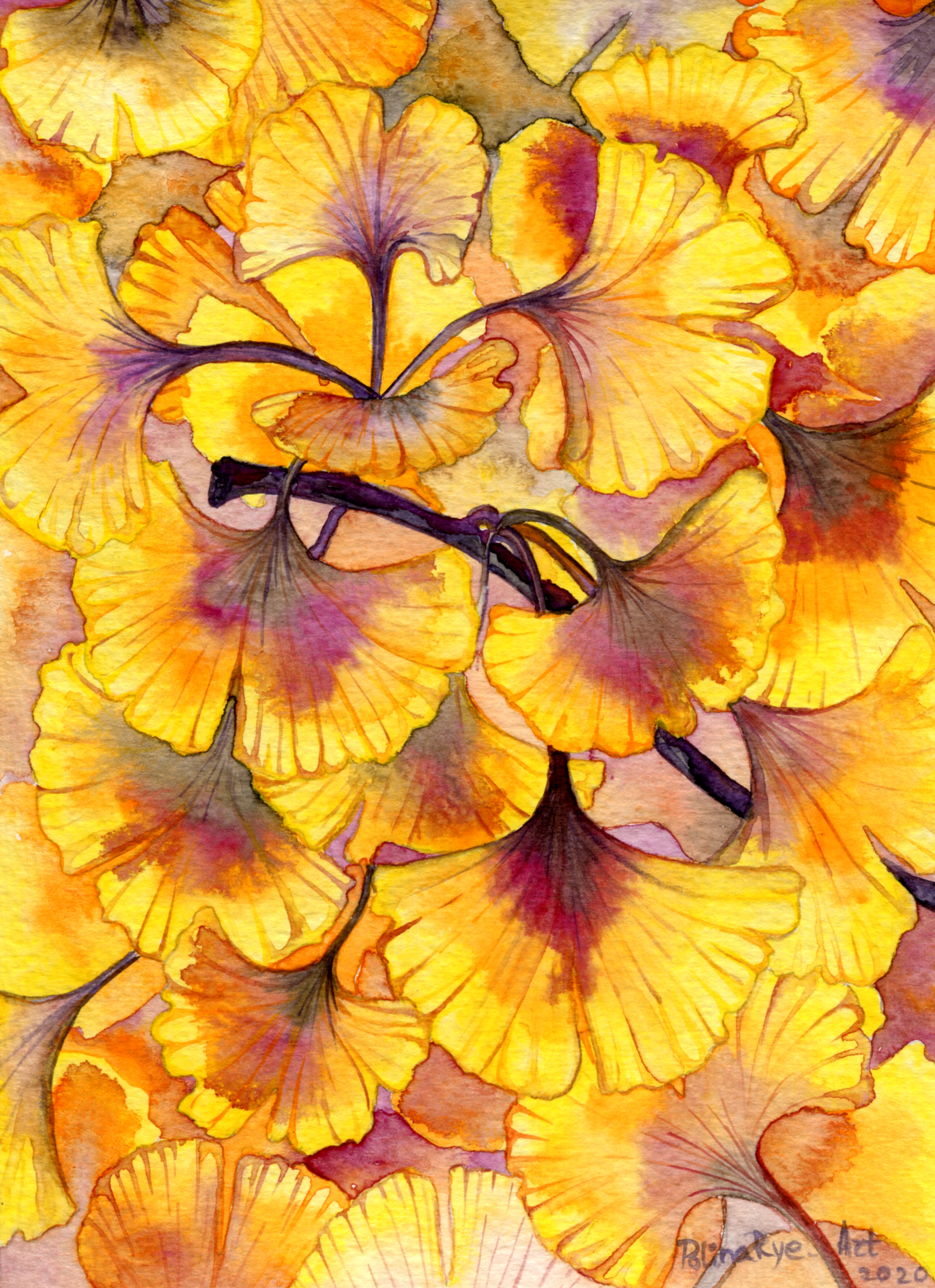 Ginko