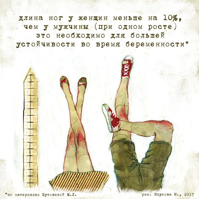 Main 1 %d0%bd%d0%be%d0%b3%d0%b8