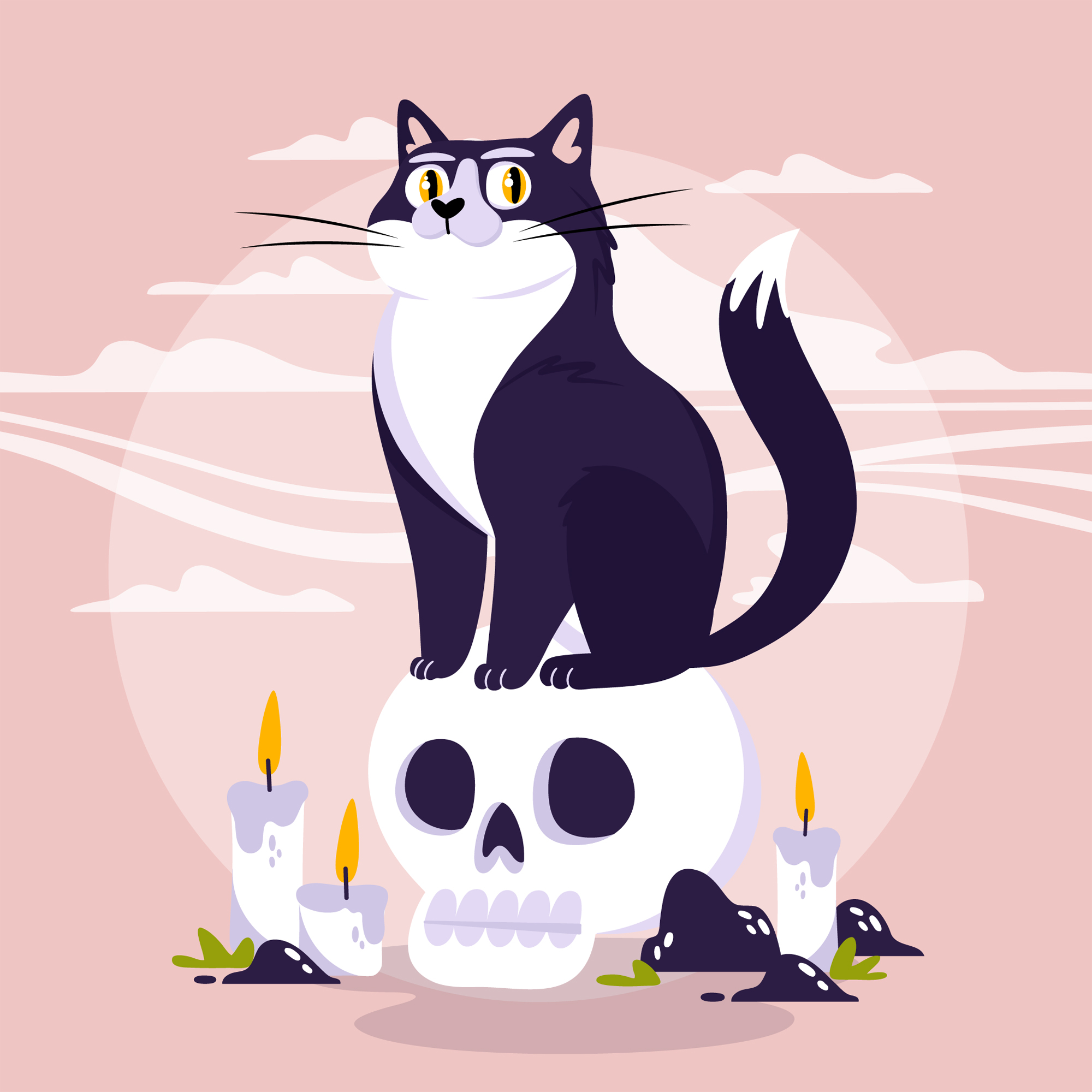 1 halloween cat