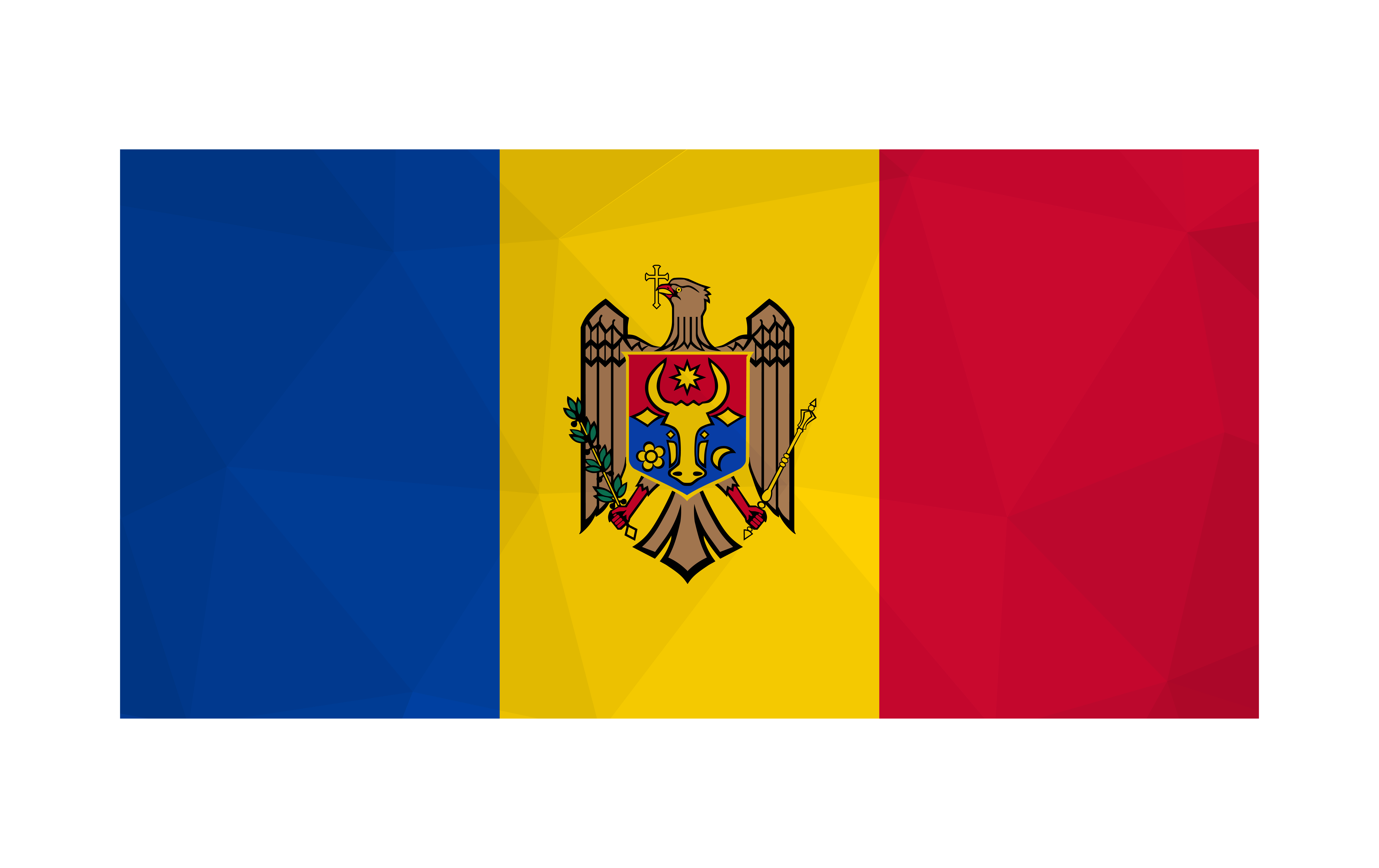Flag moldova 2