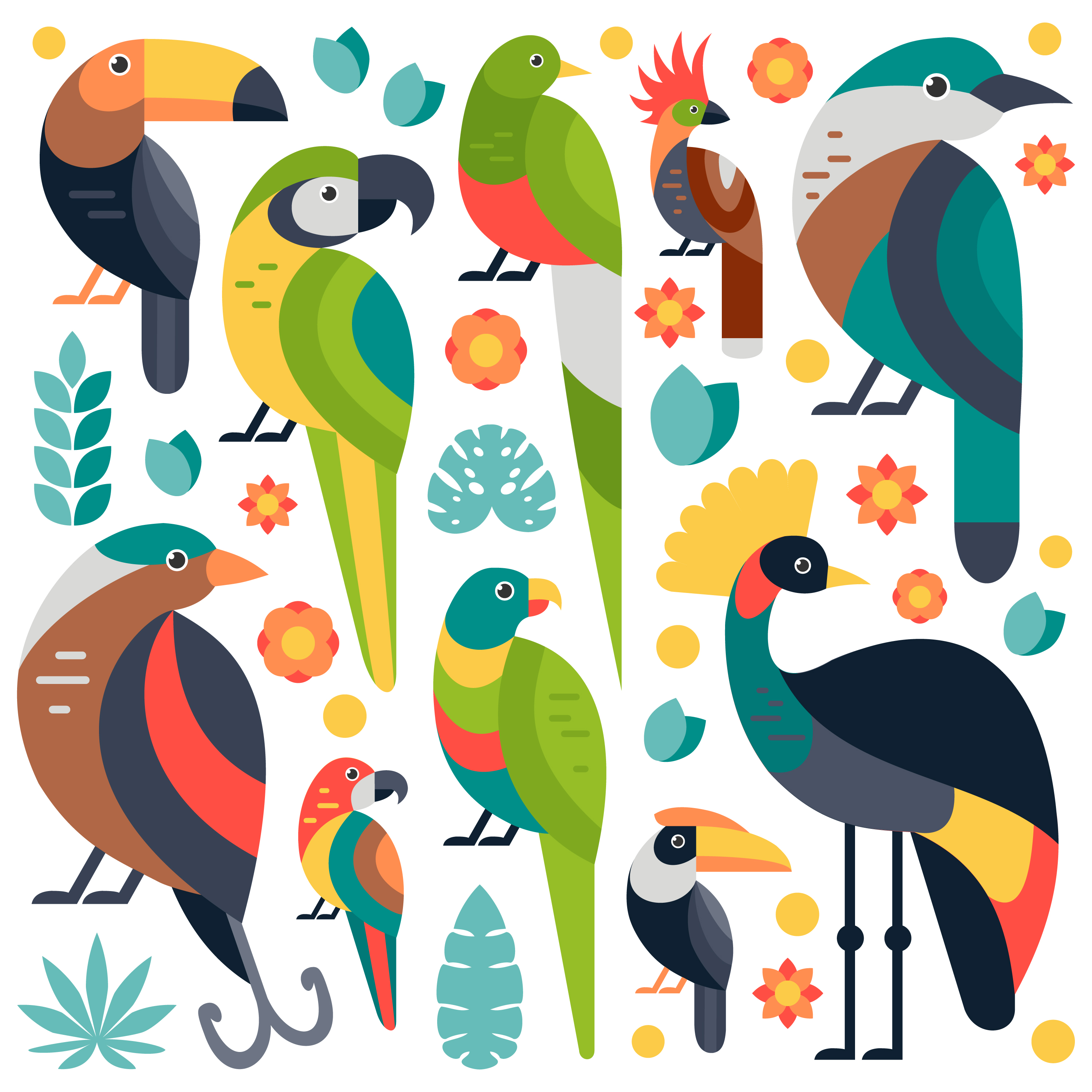Tropicalbirds 01