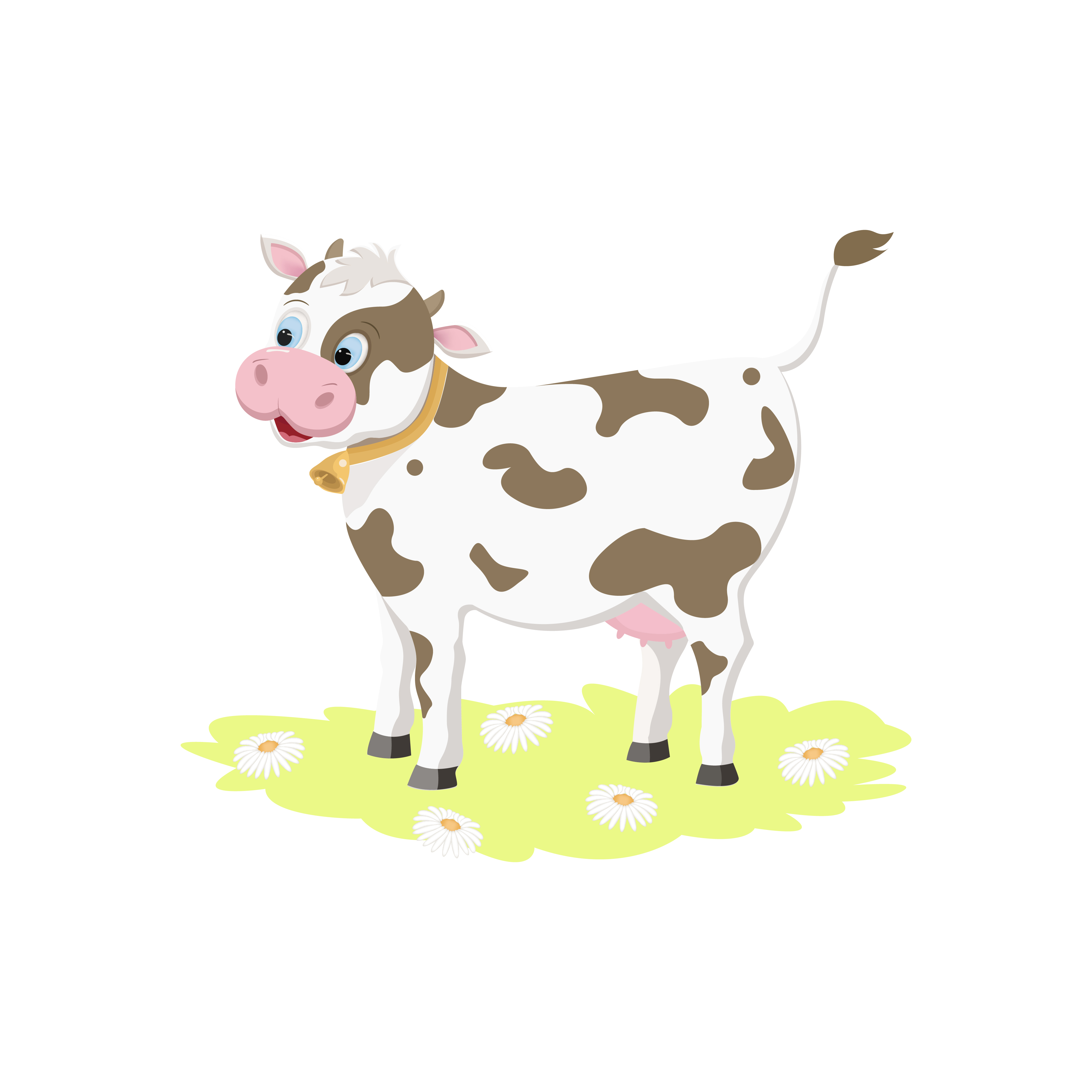 A beautiful  cheerful  young white cow with a bell.